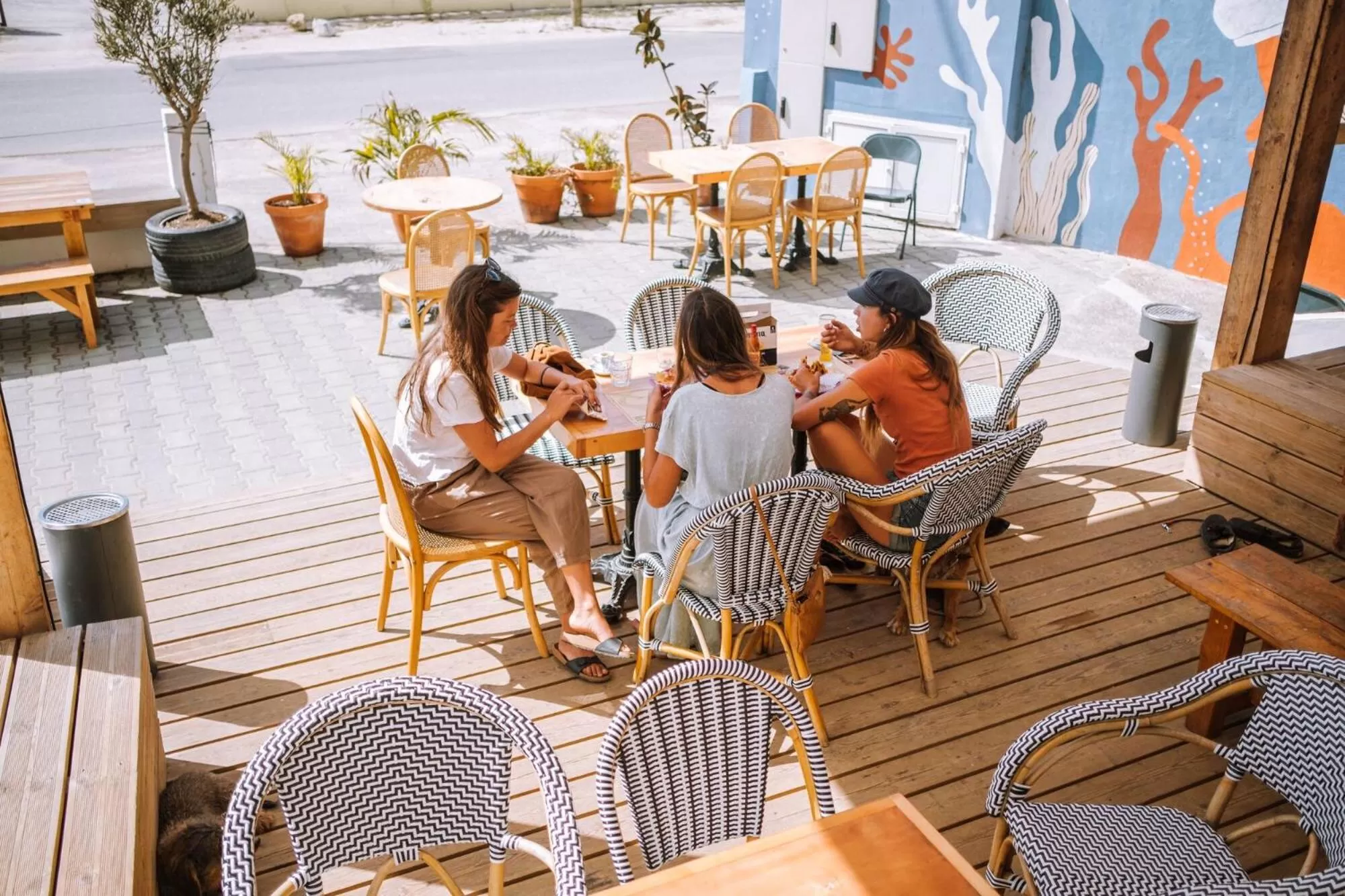 Restaurant/places to eat in Malacuna Peniche