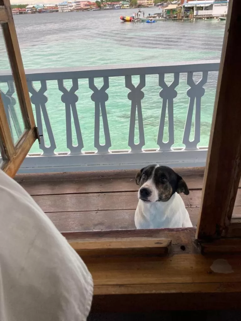 Casa Acuario Boutique Hotel