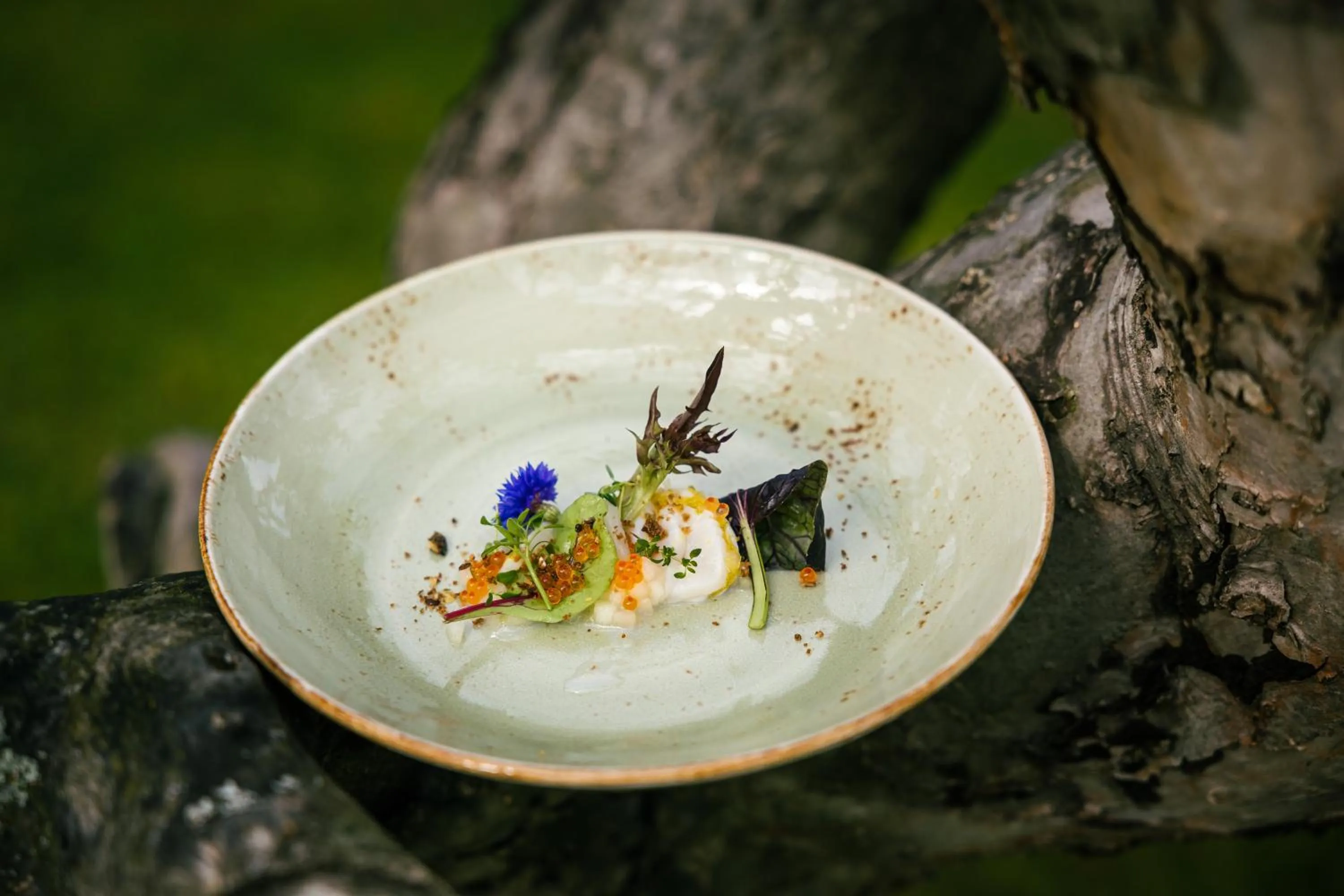 Food in Quality Hotel Leangkollen