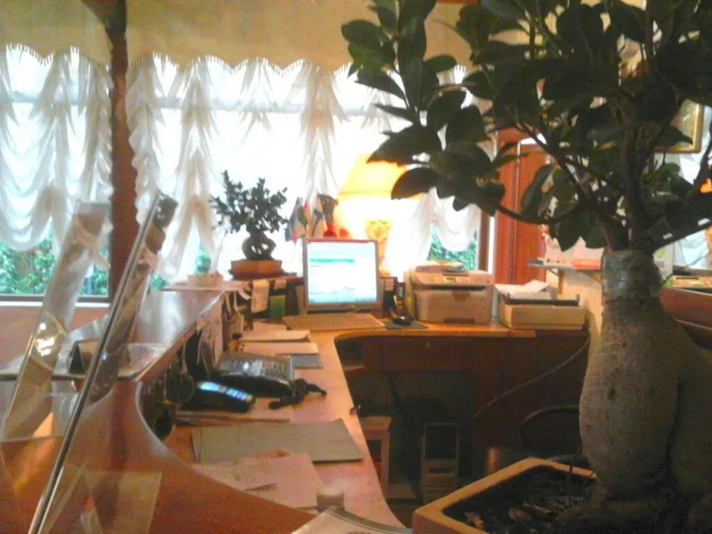 Day in Green Park Hotel