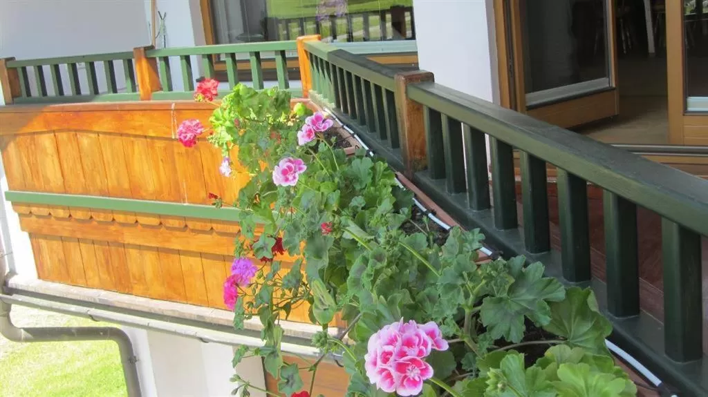 Balcony/Terrace in Haus Hager