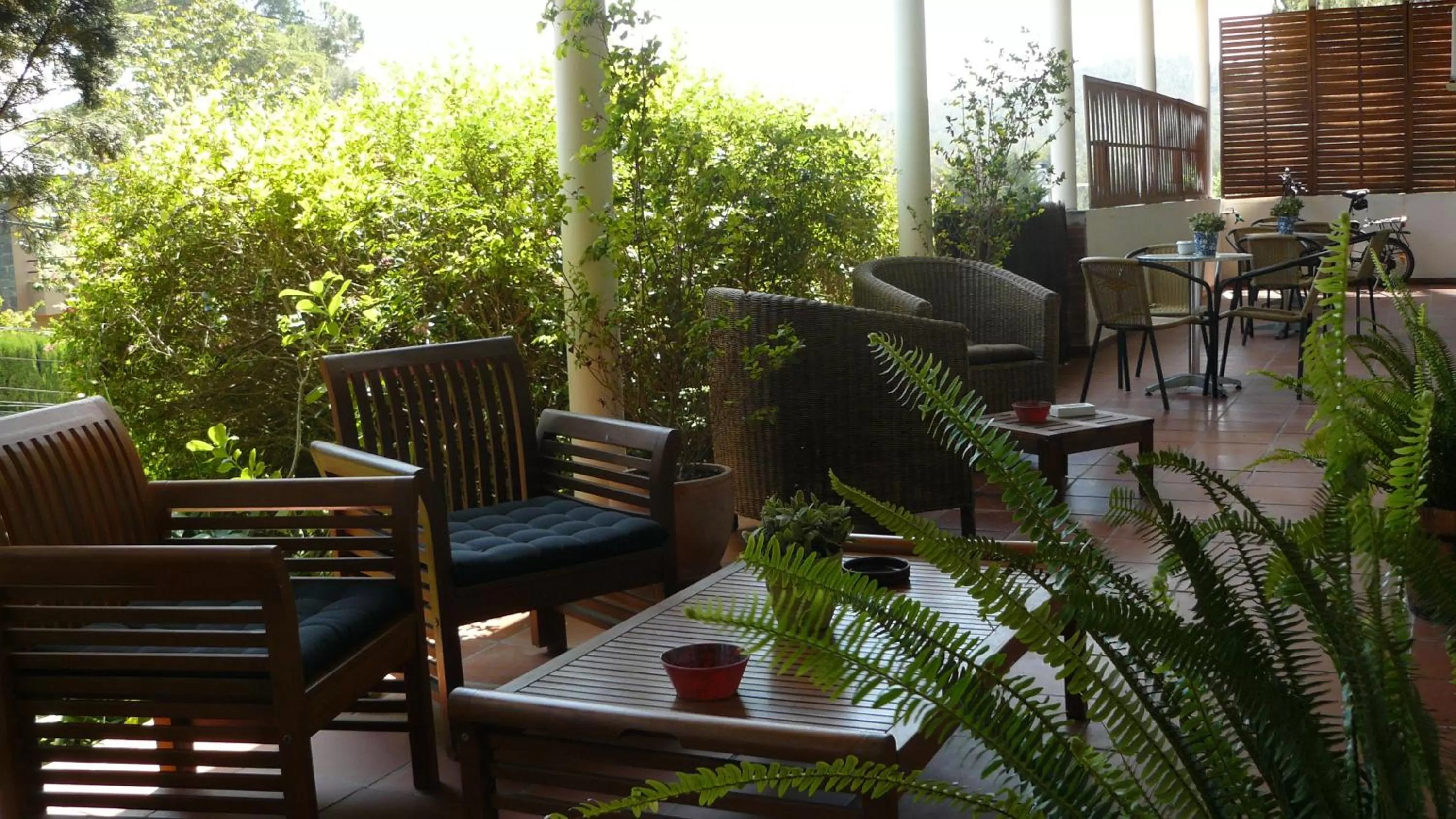 Balcony/Terrace in B&B Inés