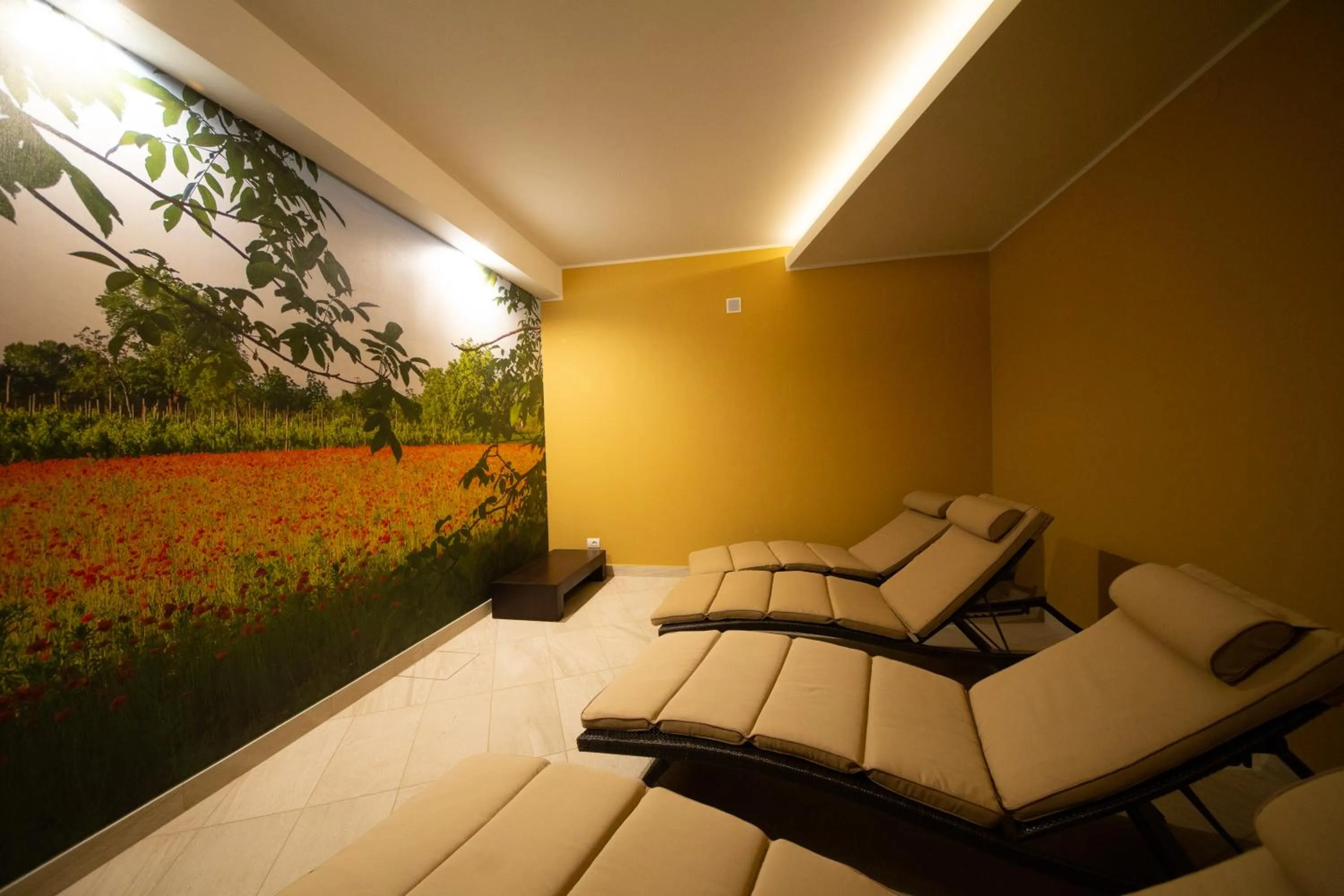 Spa and wellness centre/facilities in Wine Hotel San Giacomo Activity & Wellness