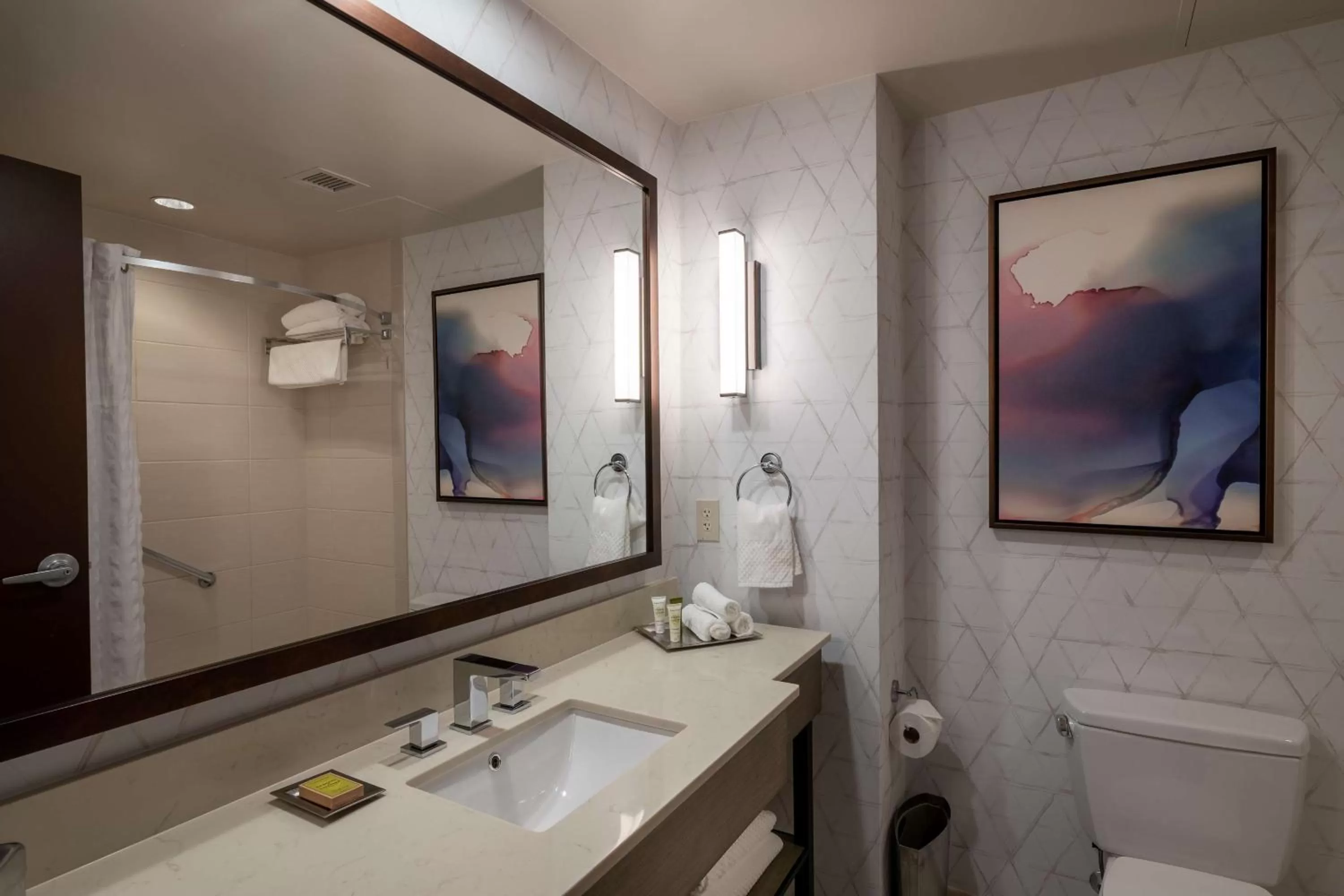 Bathroom in Hilton Asheville Biltmore Park