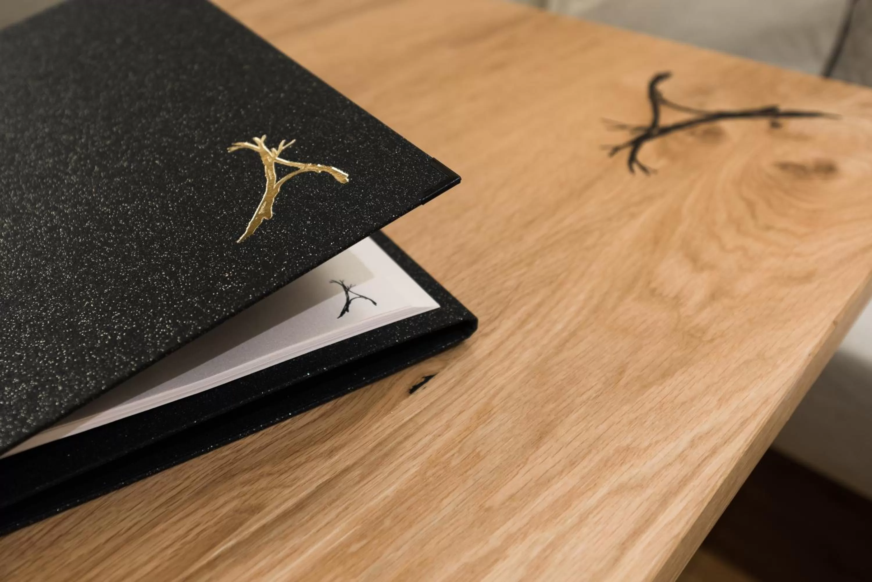 Property logo or sign in Boutiquehotel die Alpbacherin 4 Sterne Superior