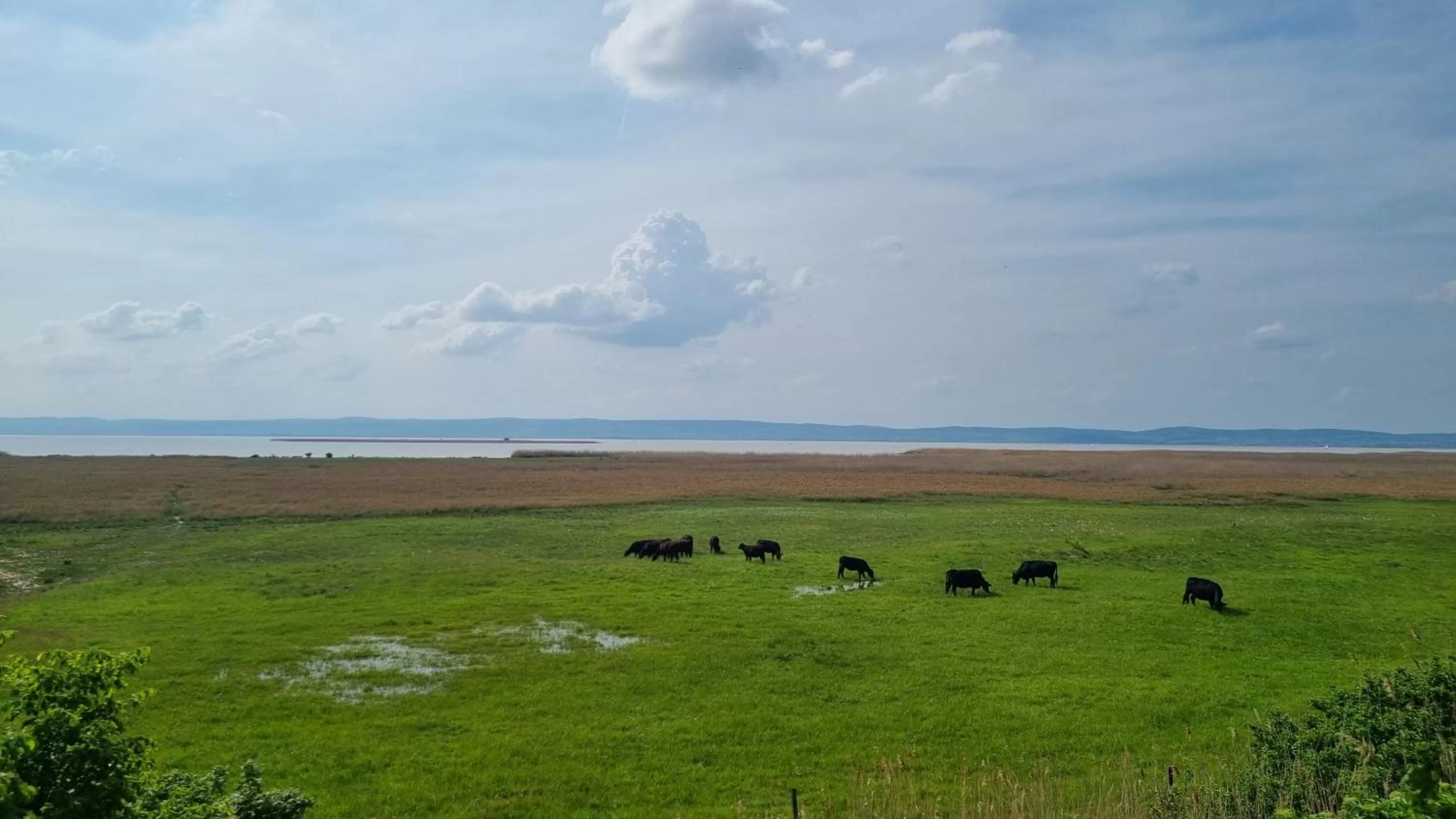 Nearby landmark in BIRKENHOF GOLS - B & B - Wohlfühl Hotel mit Wochenend-Restaurant