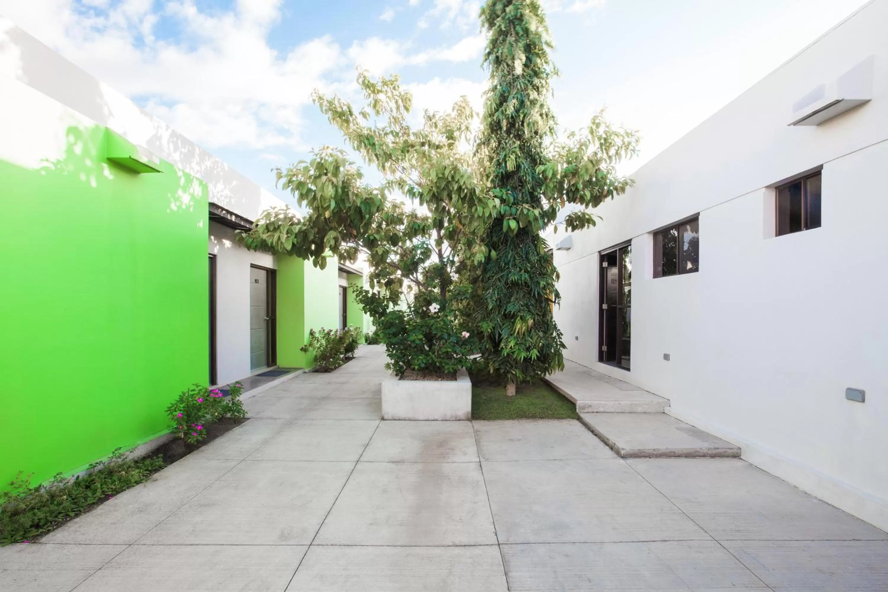 Property Building in Airport X Managua