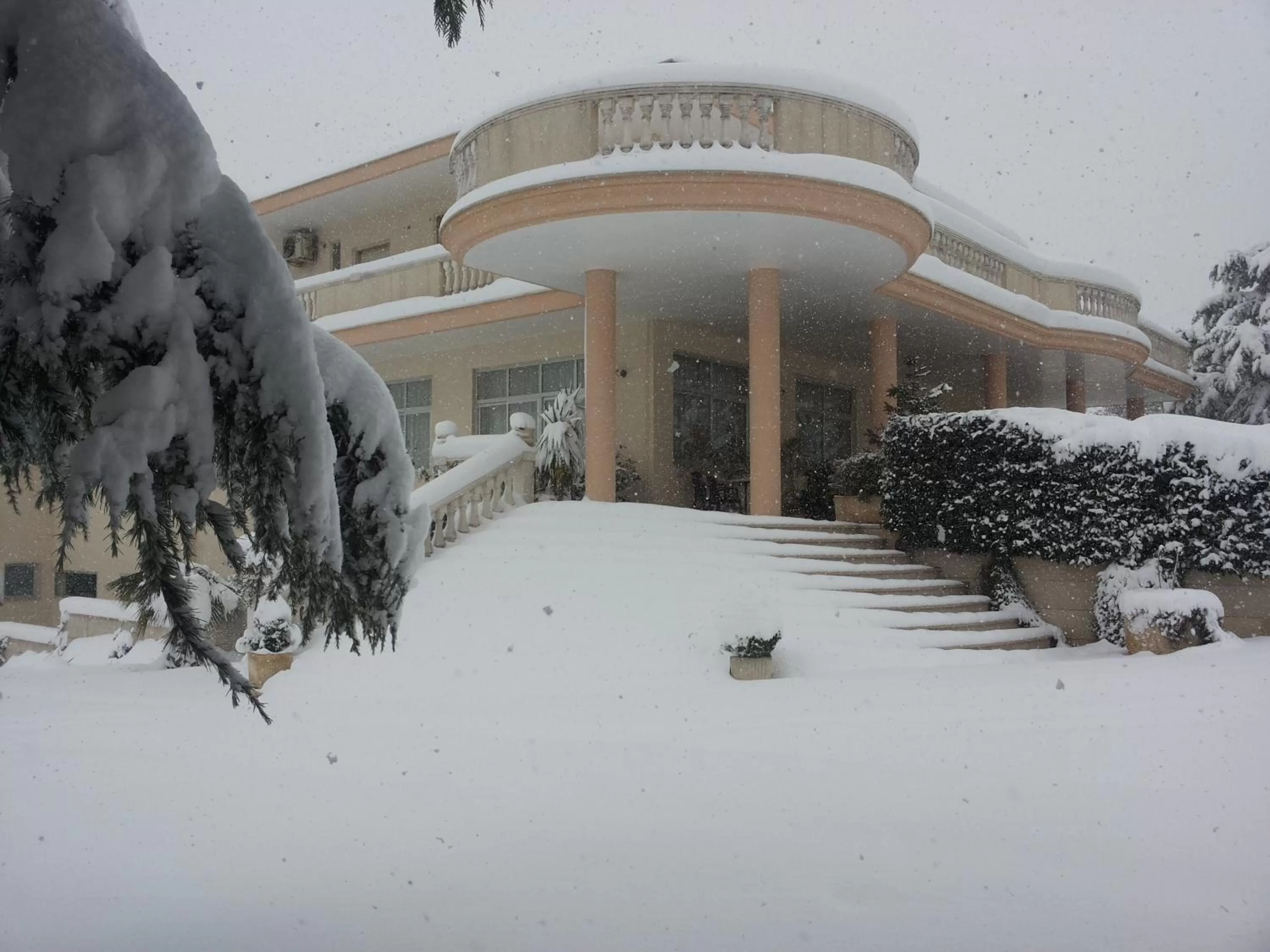 Decorative detail in Punto Verde