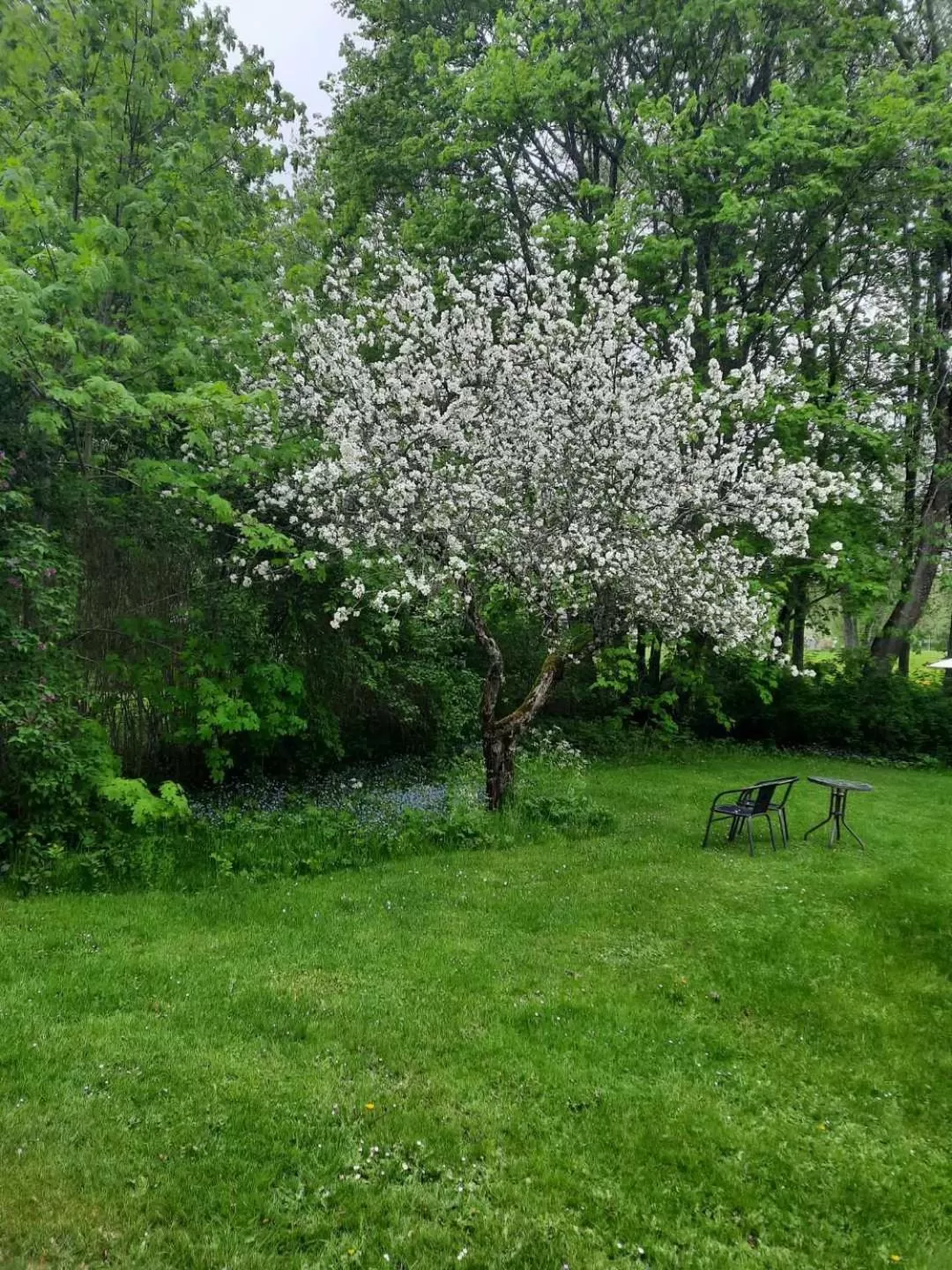 Garden view, Garden in KvarnDammens Bed & Breakfast