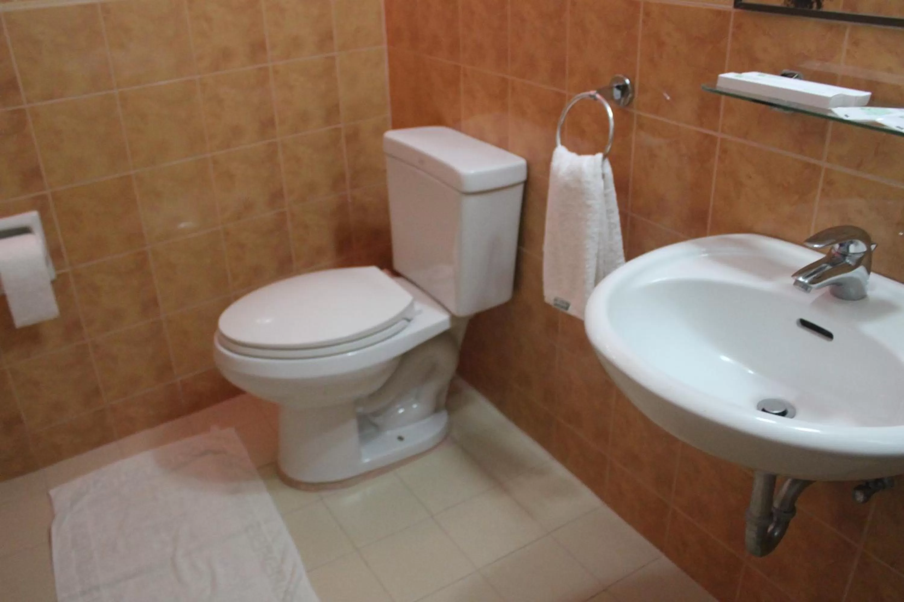 Toilet in Elegant Circle Inn
