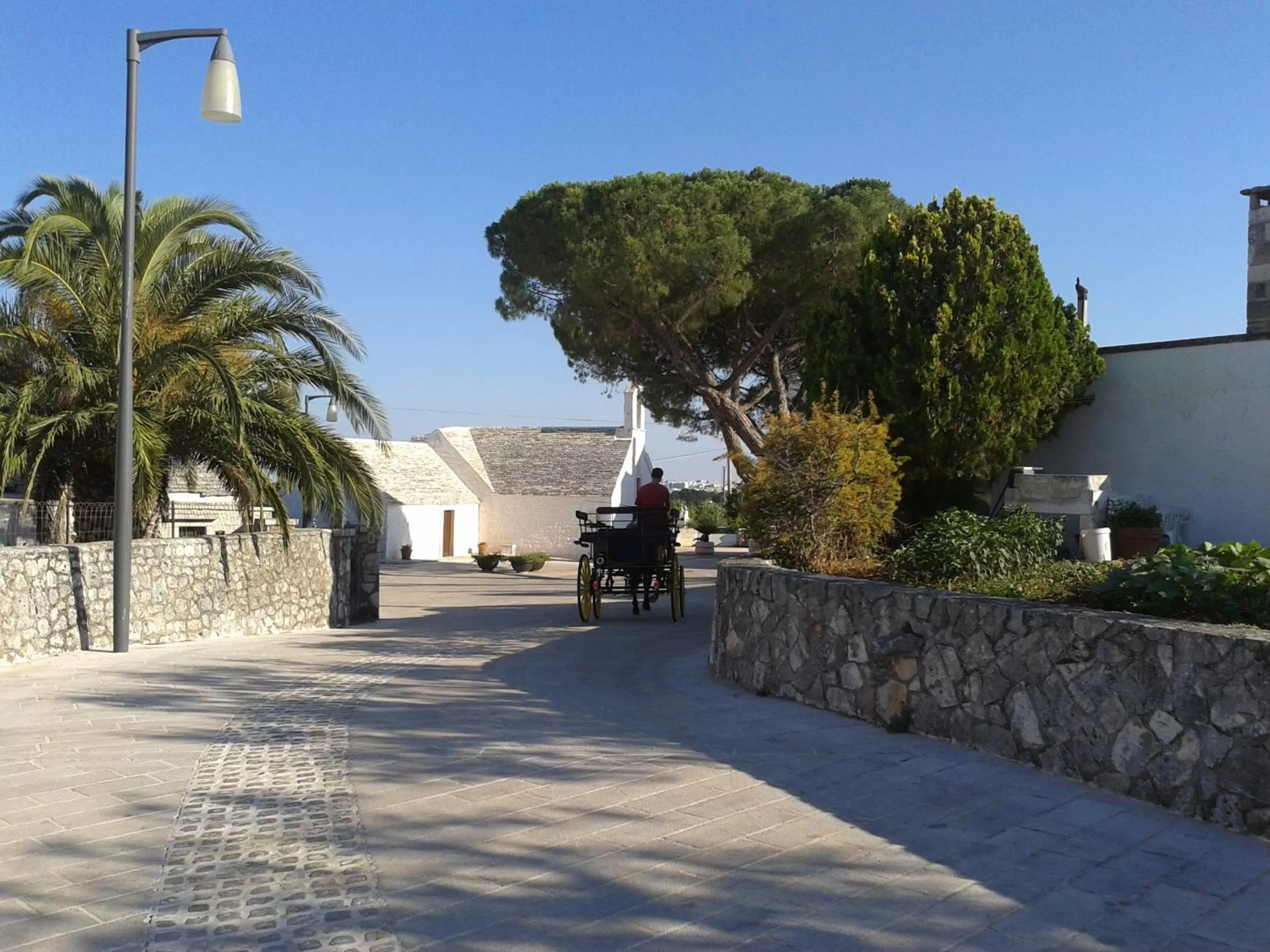 Entertainment in Bed & Breakfast La Collinetta