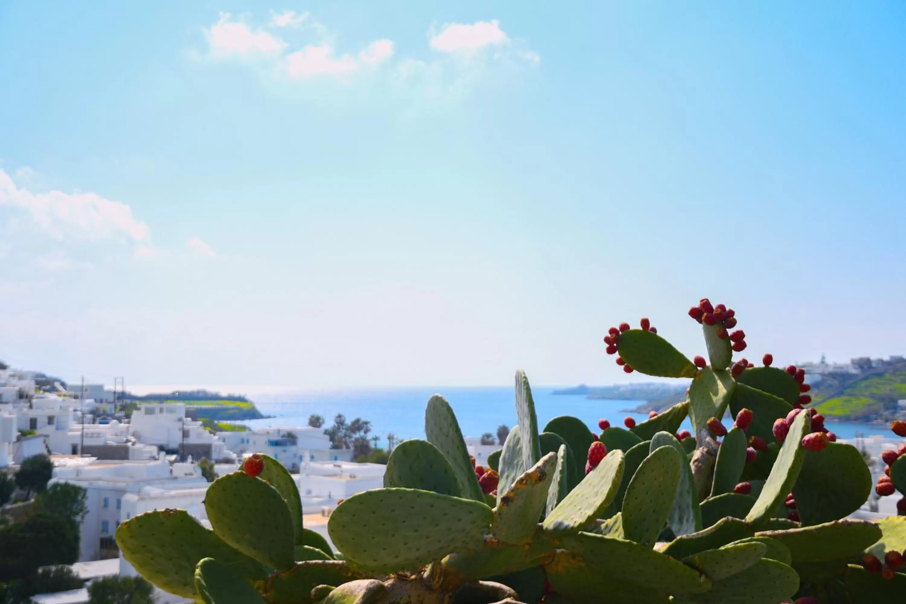 Sea view in Amperian Mykonos Suites & Villas