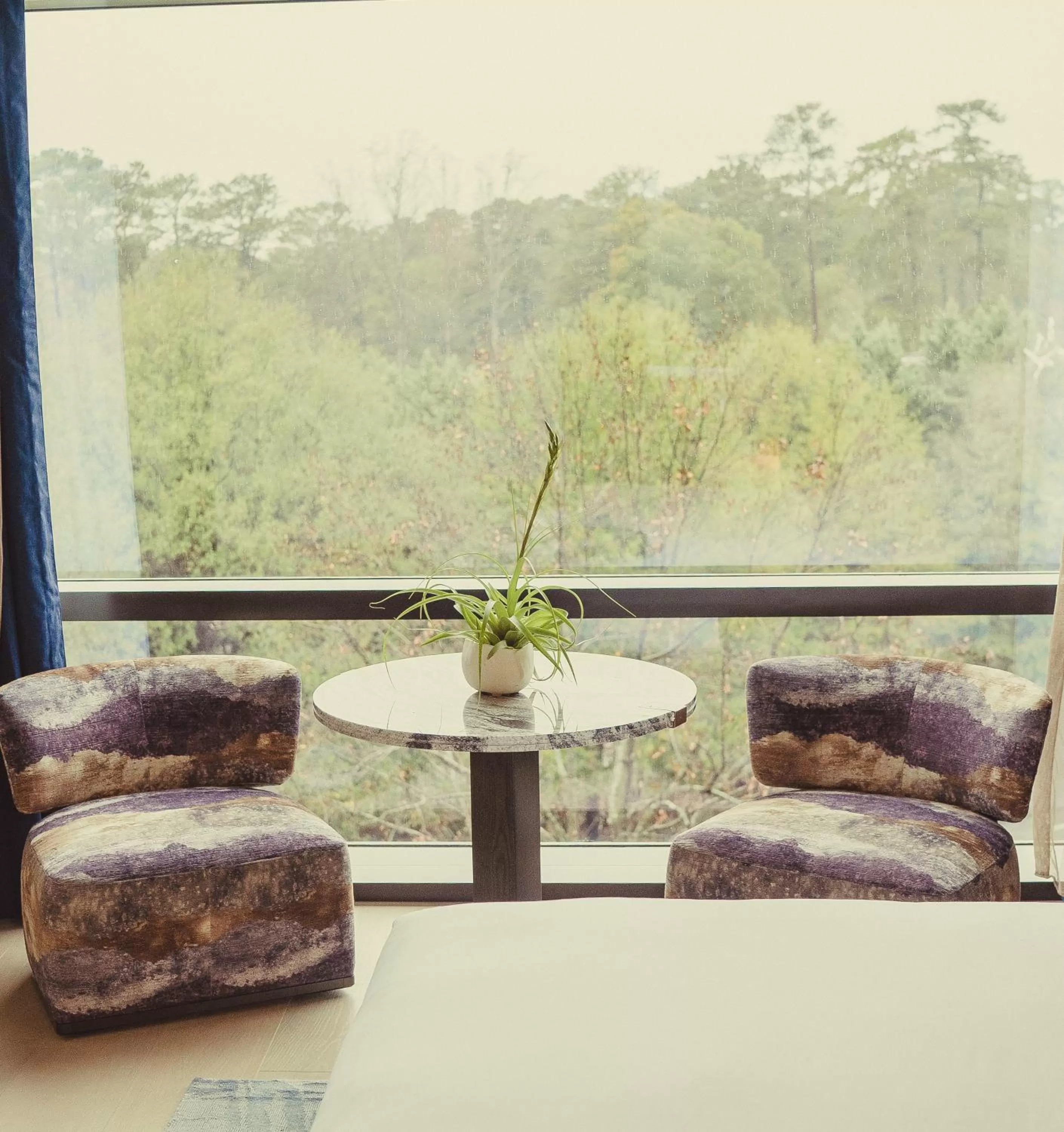 Natural landscape in Nobu Hotel Atlanta