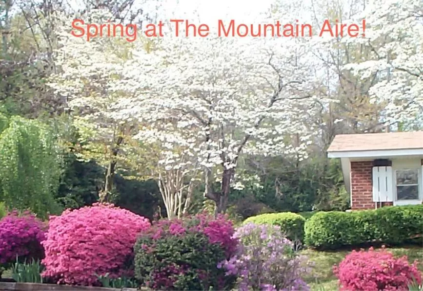 Spring in Mountain Aire Cottages, Inn, & Glamping