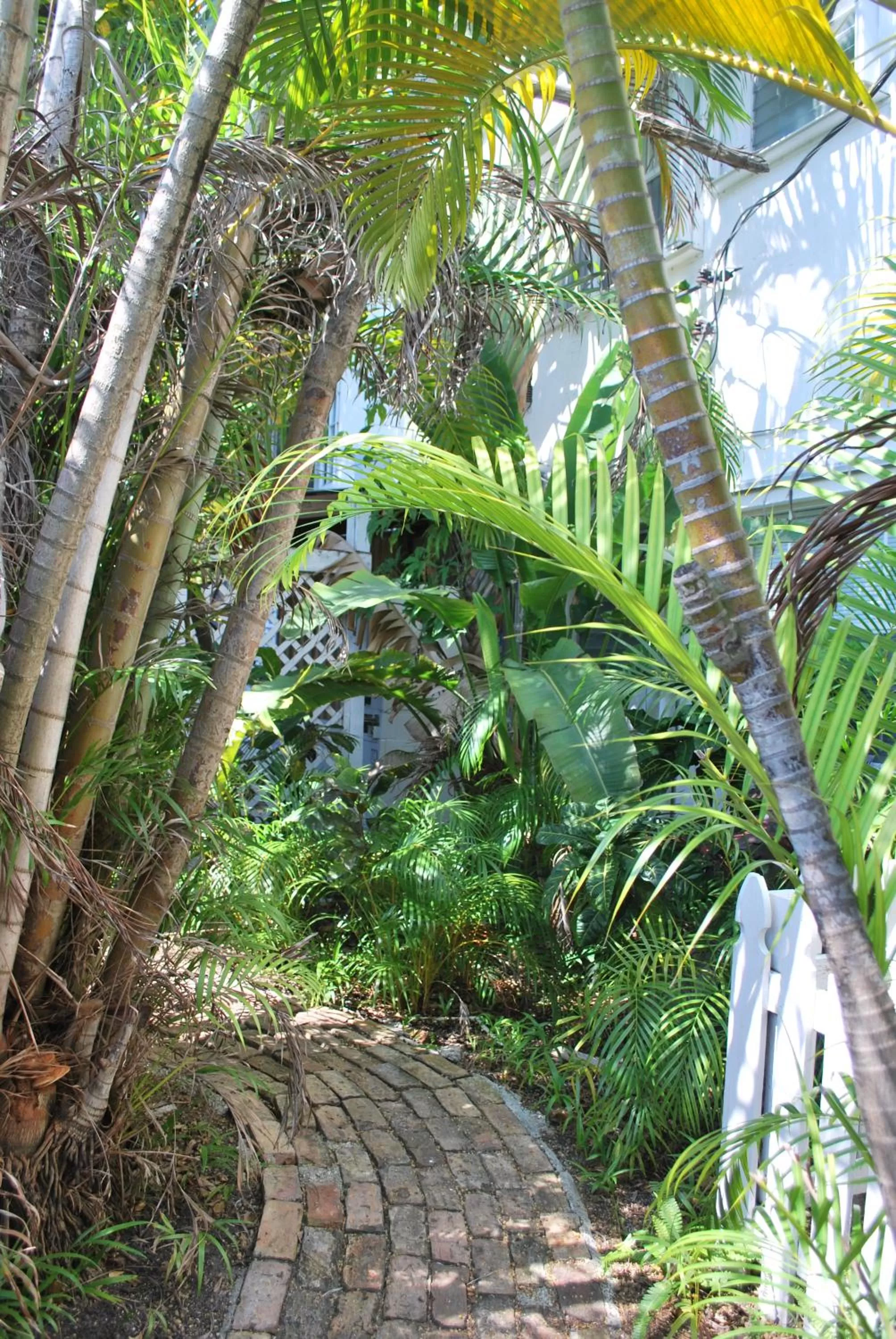 Area and facilities in Green Island Inn