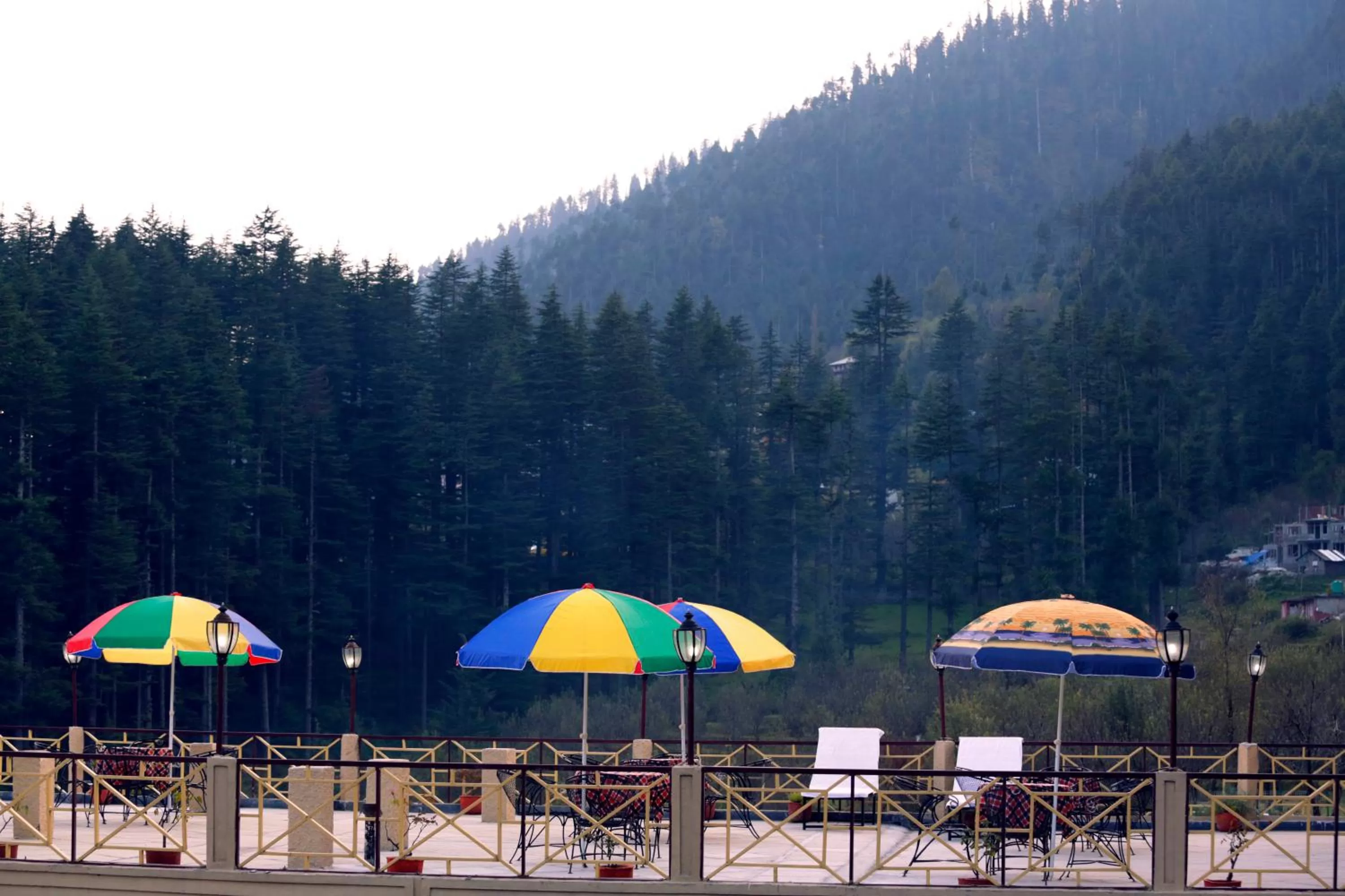 Snow Valley Resorts & Spa Manali