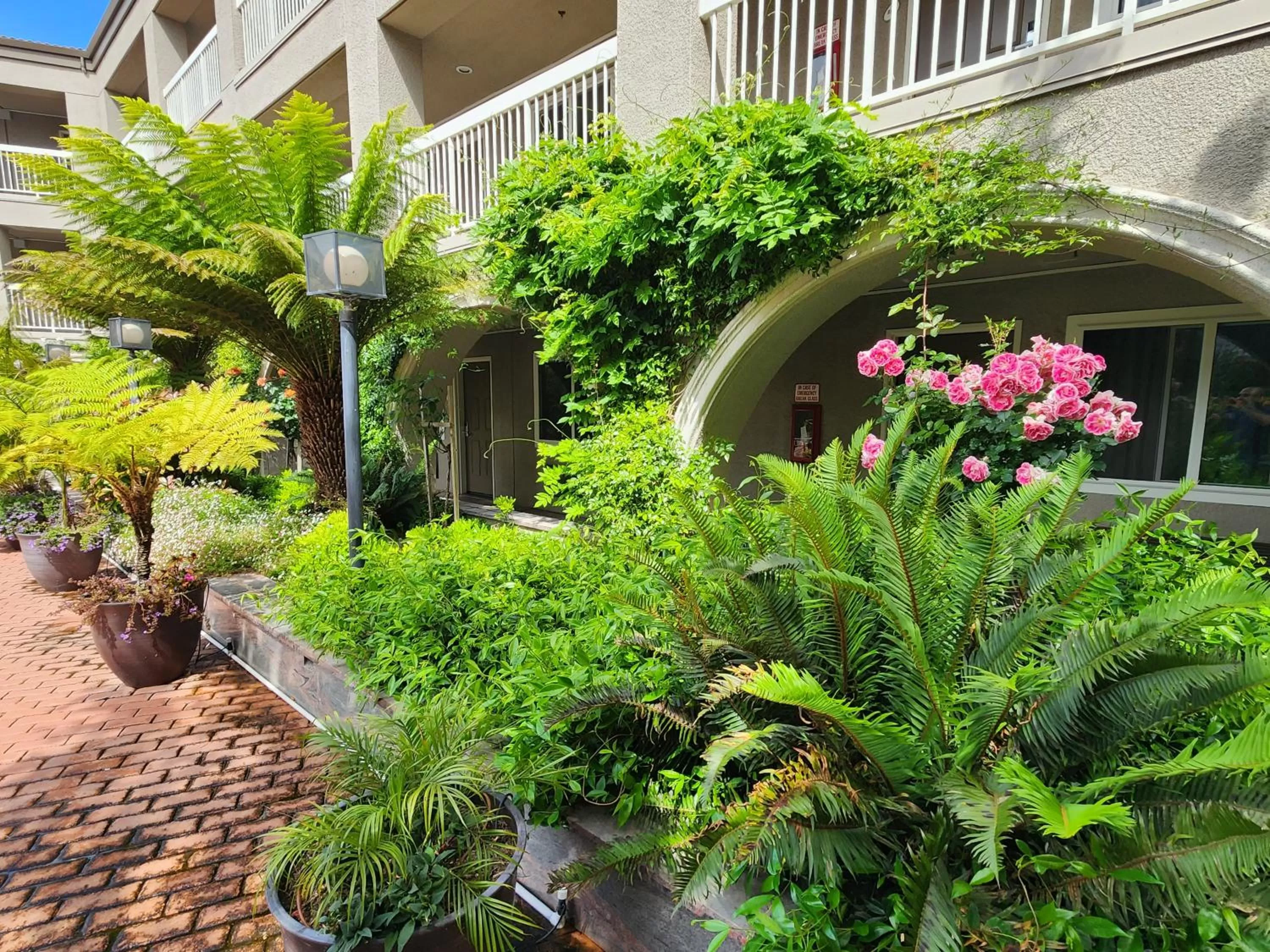 Garden view in La Quinta by Wyndham San Francisco Airport West Millbrae FREE AIRPORT SHUTTLE