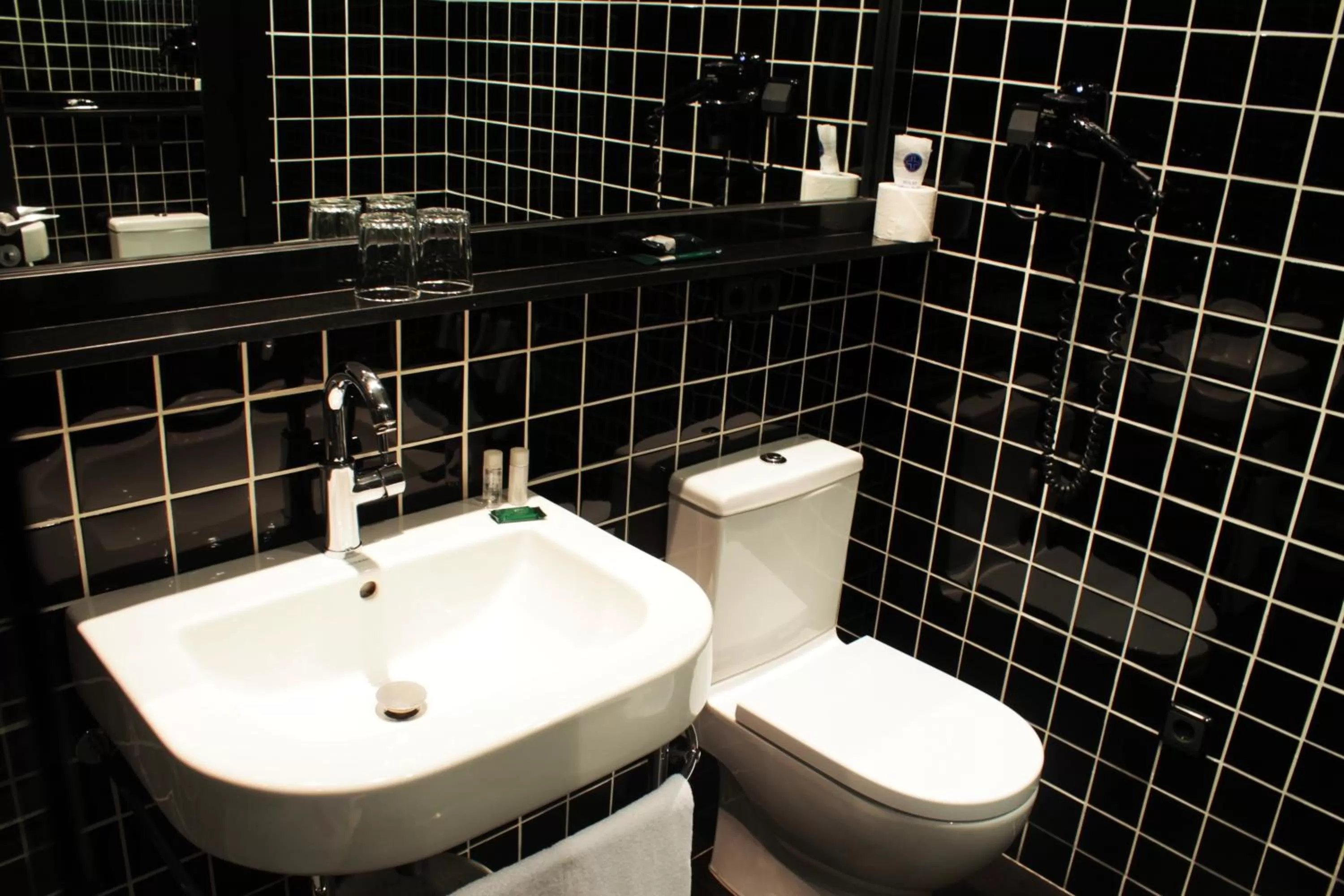 Toilet in Paral·lel