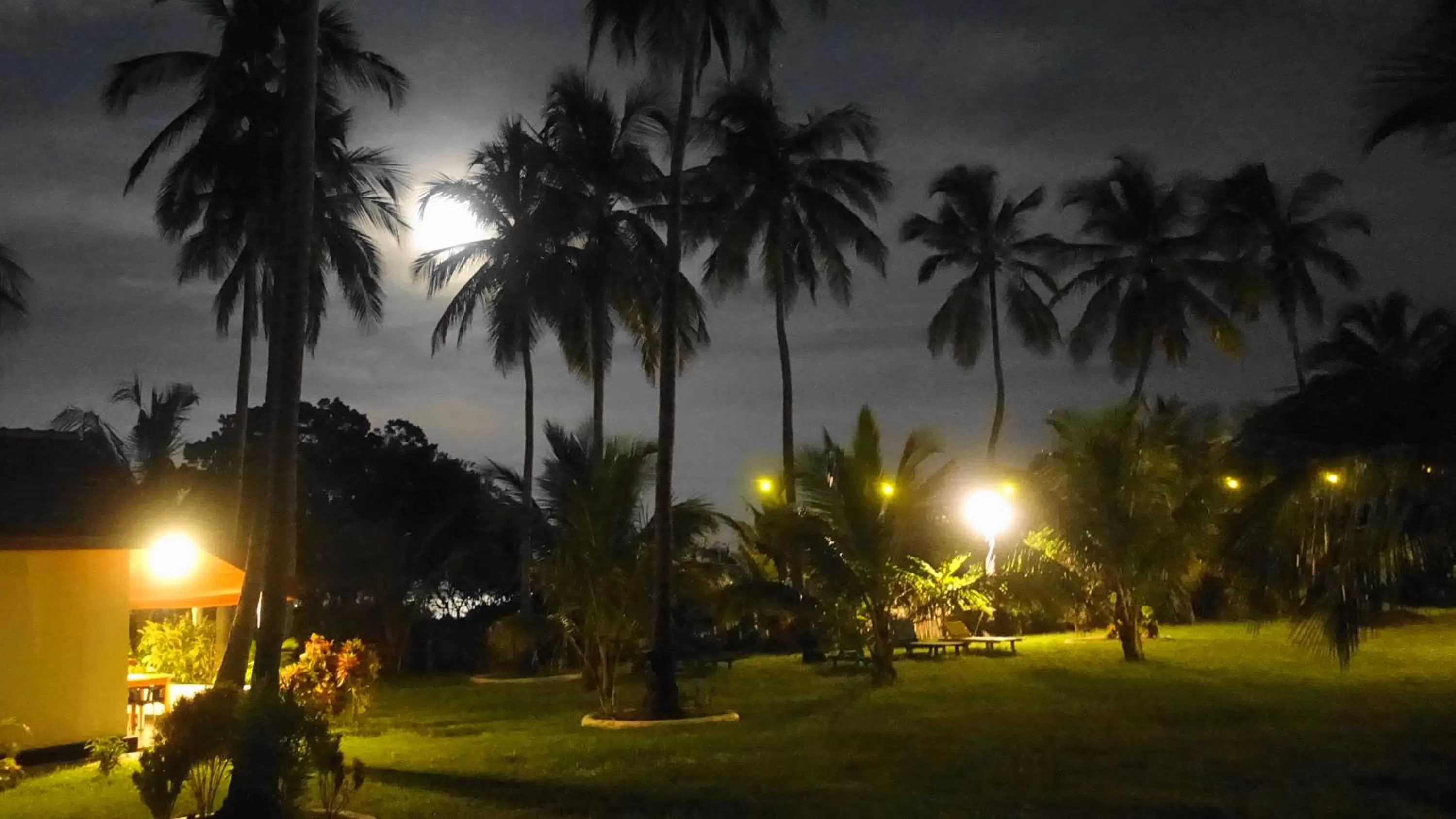 Garden, Sunrise/Sunset in Regina Beach Bungalow
