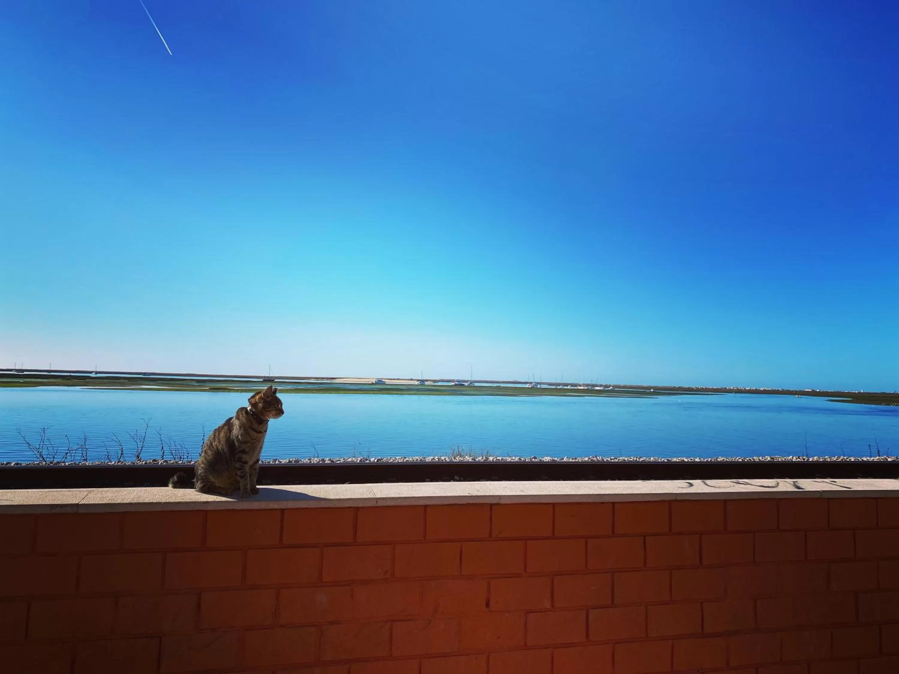 Natural landscape in Casa Saudade luxury rooms