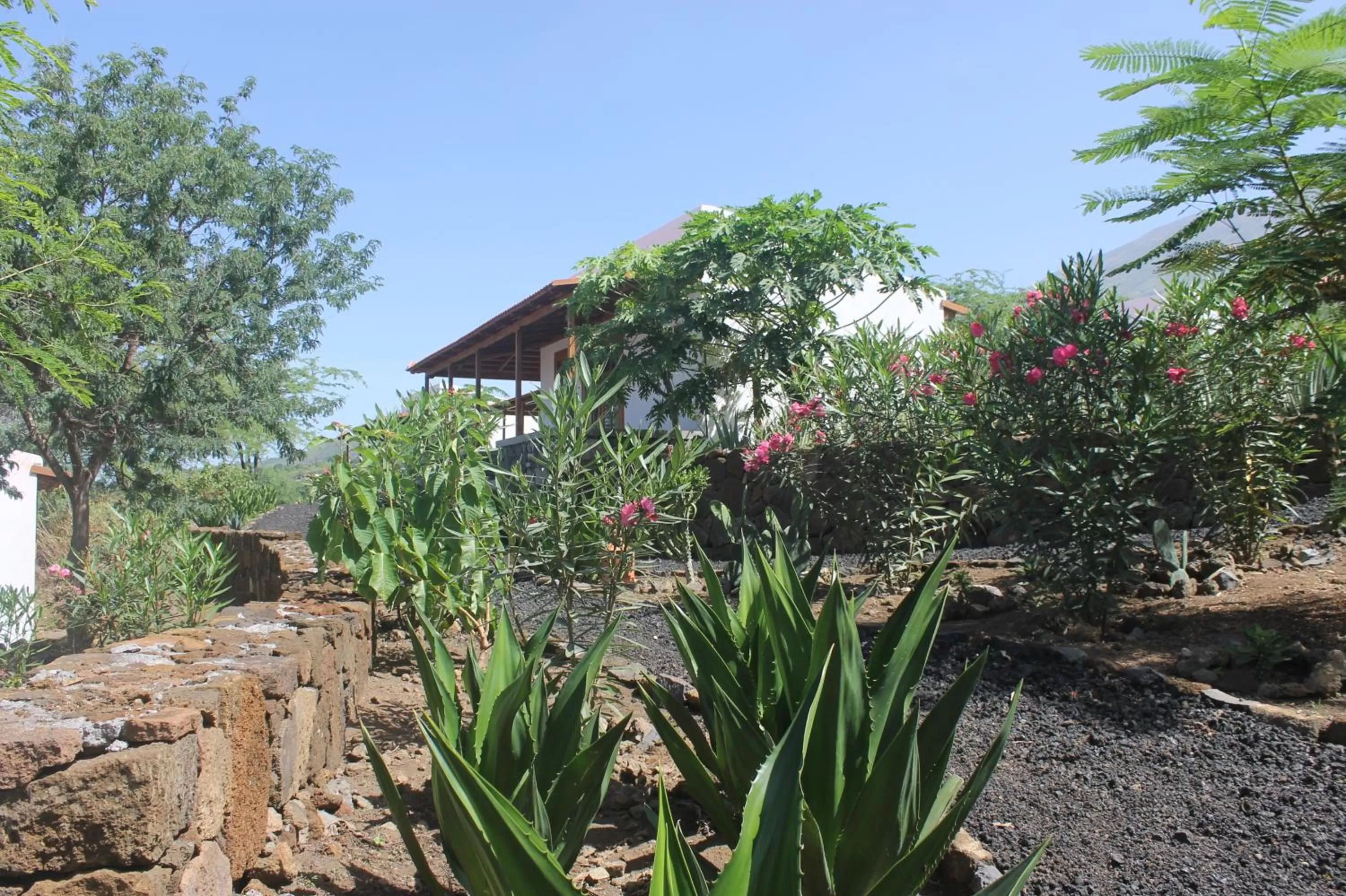 Garden in La Fora Ecolodge
