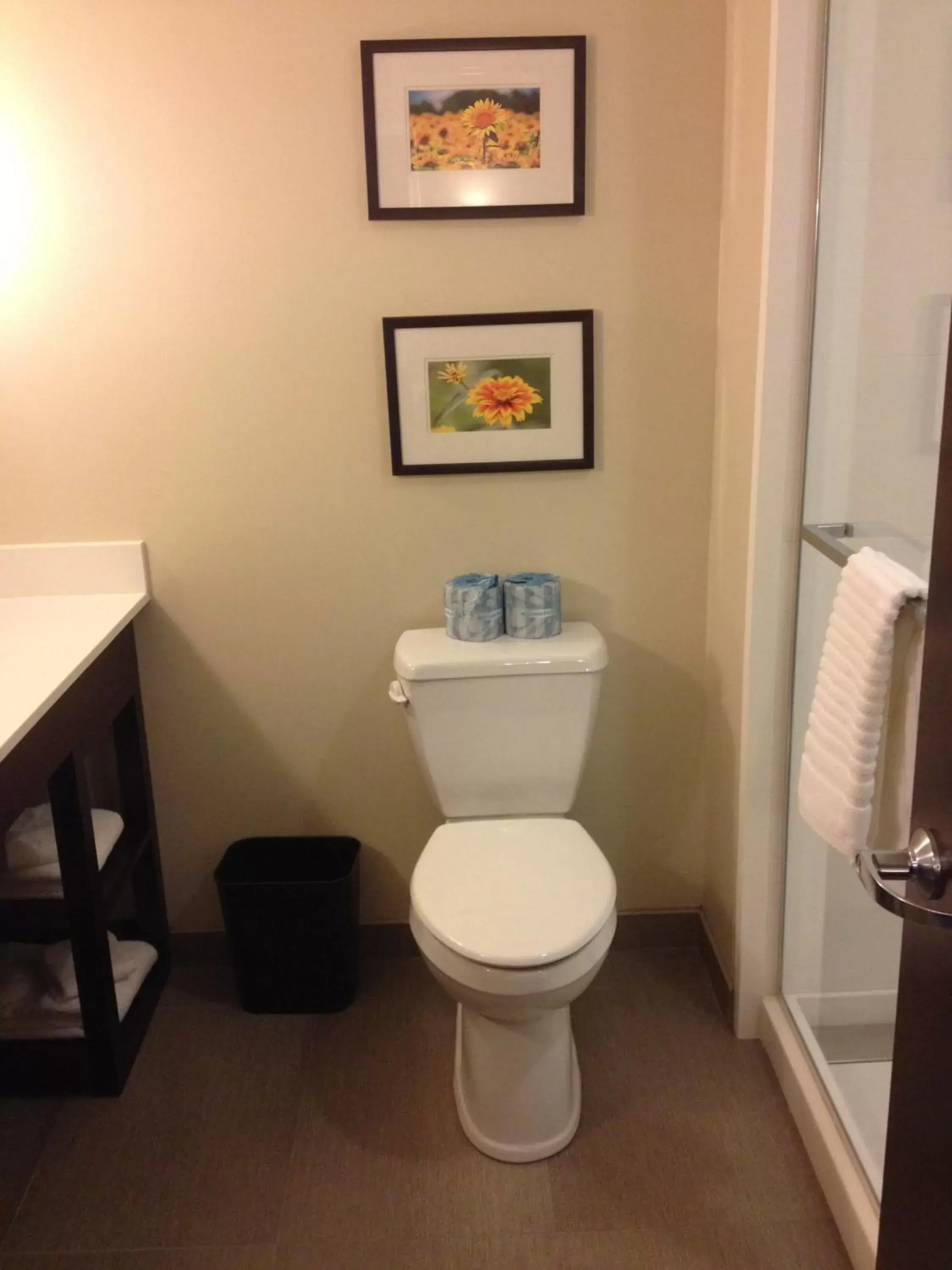 King Suite with Sofa Bed-Non-Smoking in Comfort Suites-Youngstown North King Suite with Sofa Bed-Non-Smoking in Comfort Suites-Youngstown North