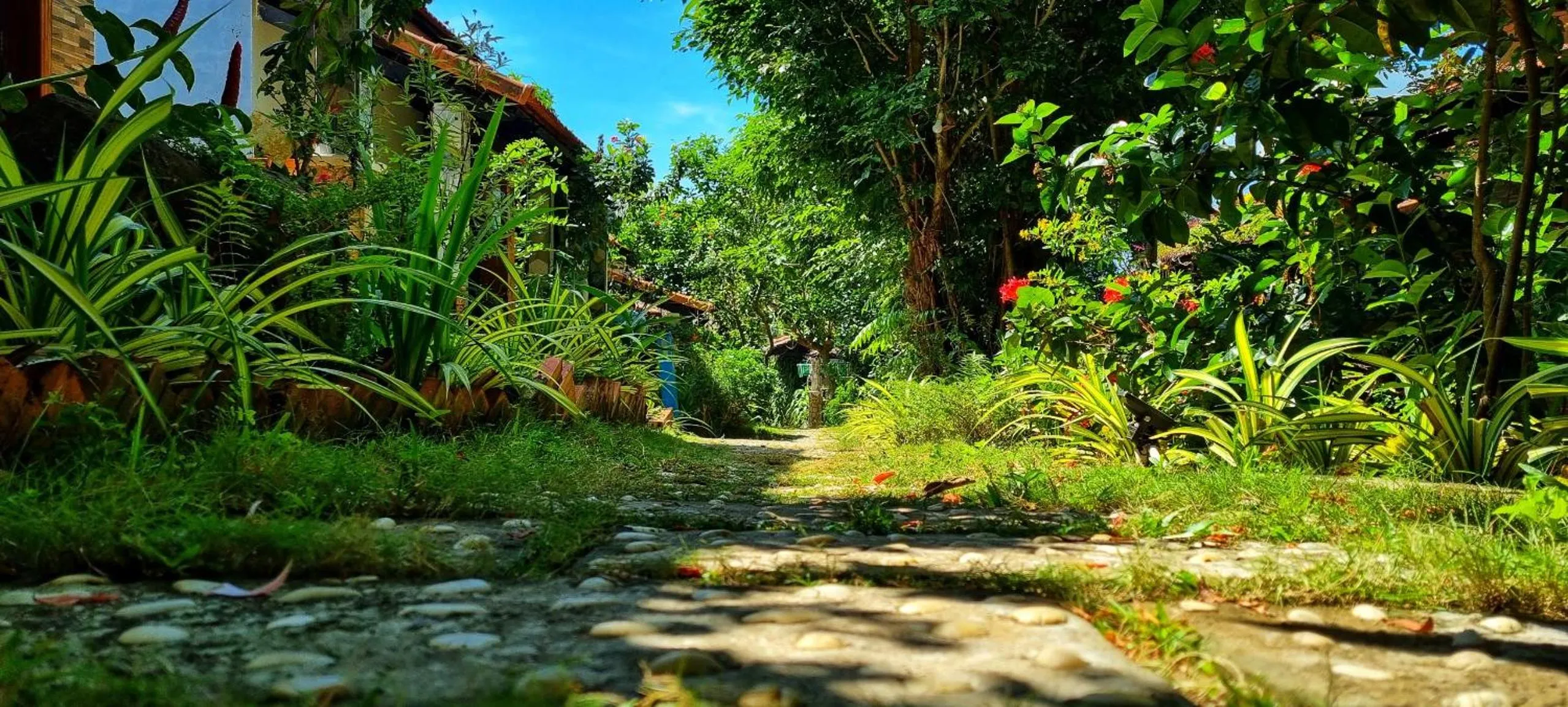 Miana Resort Phu Quoc