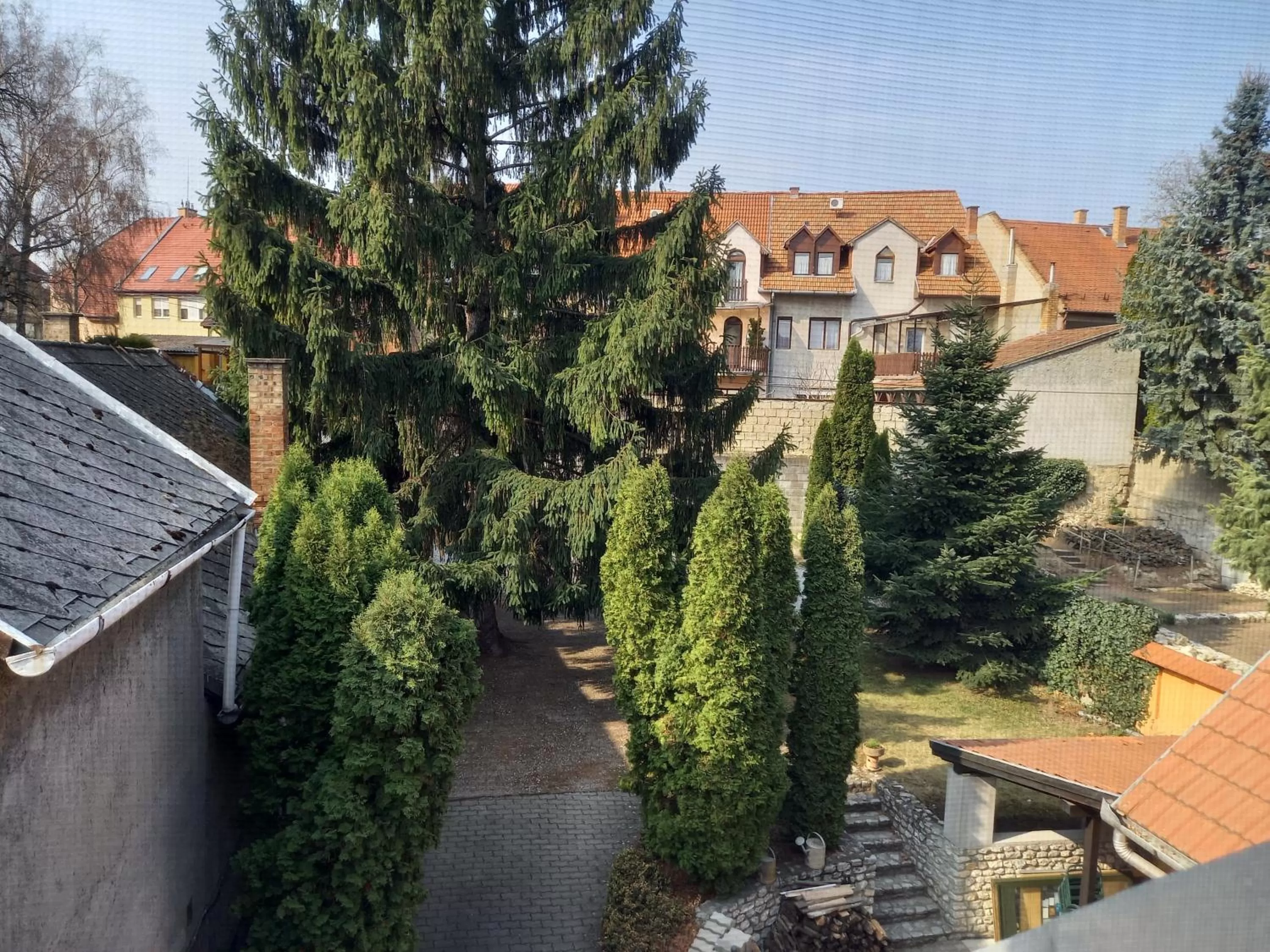 Garden view in Európa Panzió