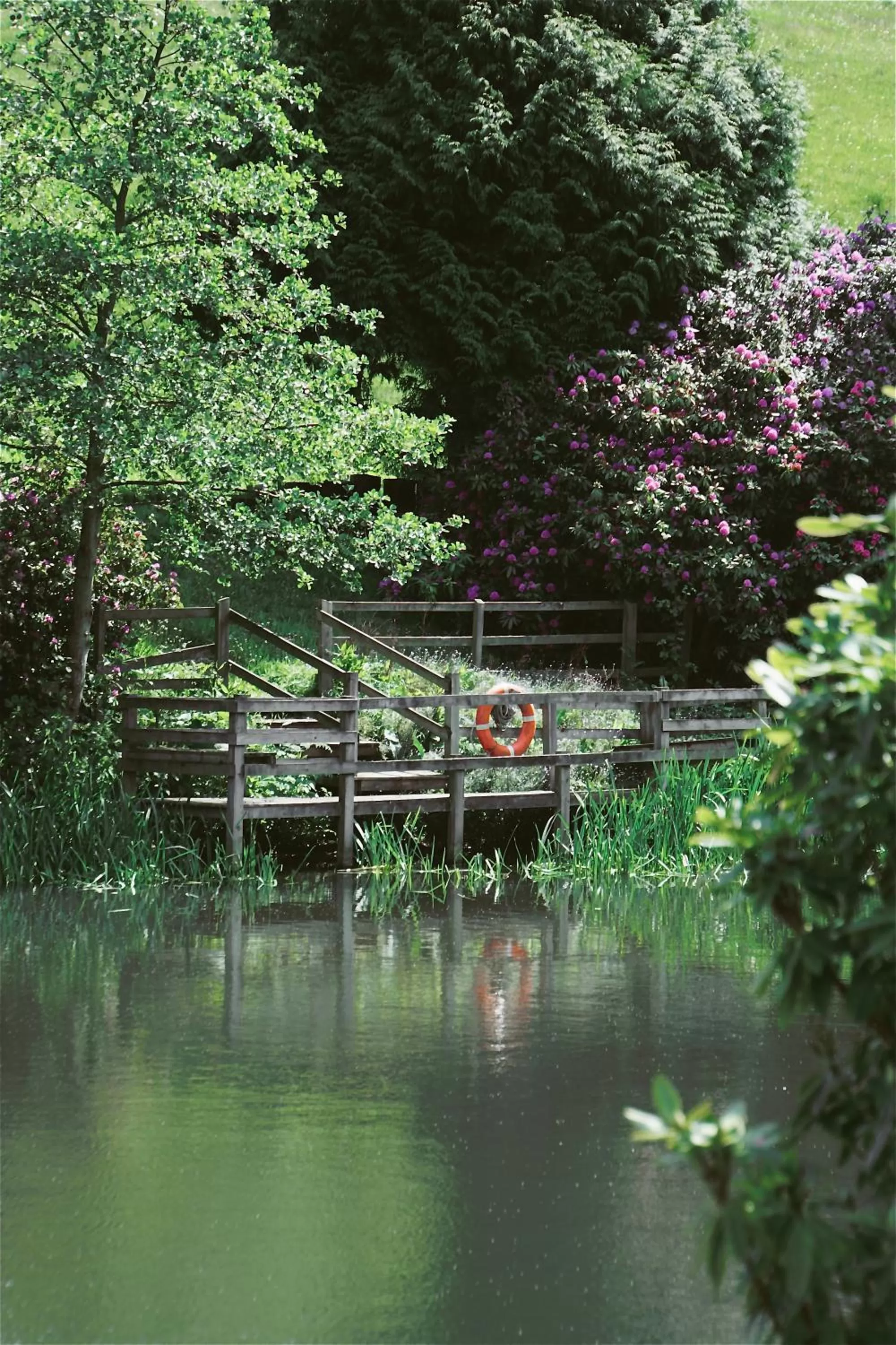 Lake view in Saltmoore