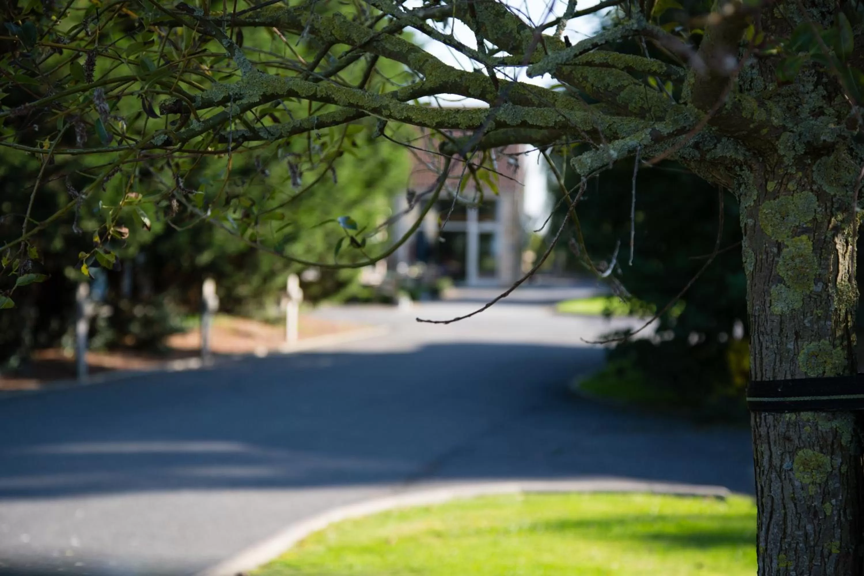 B&B Het Schaliënhof