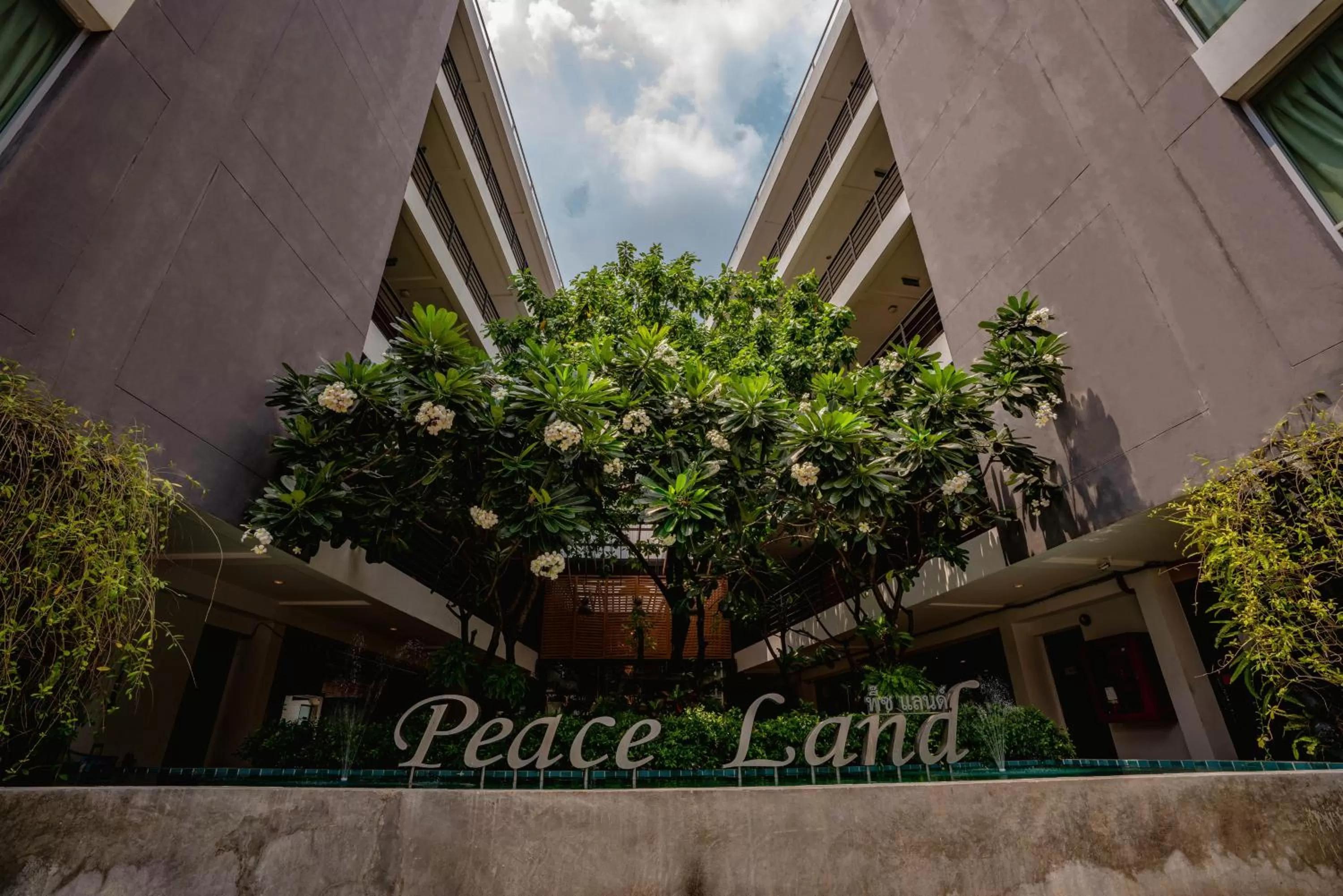 Property building in Peace Land Khaosan