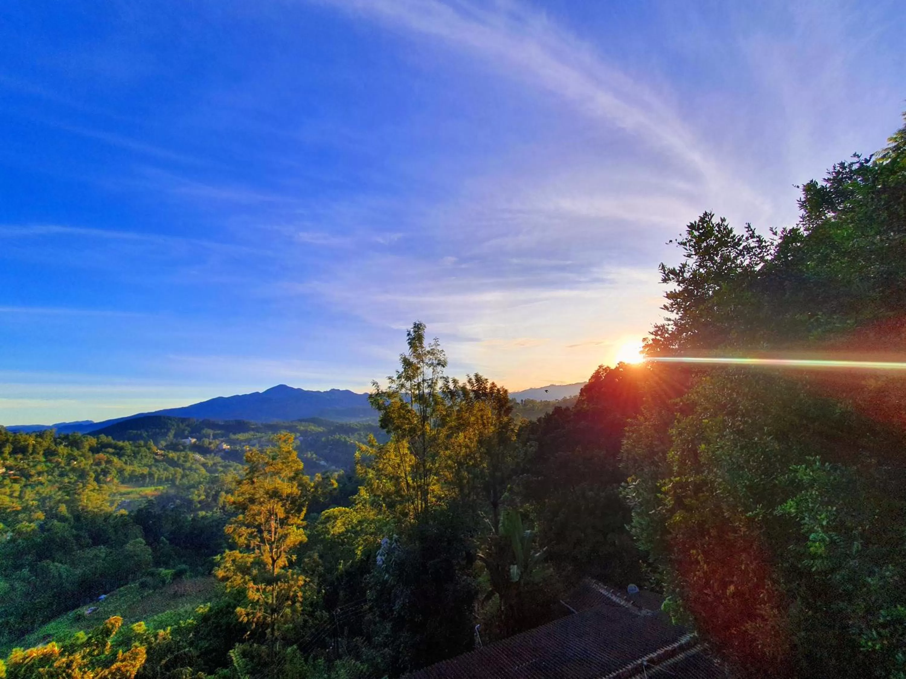 Day in Guest Inn Avendra