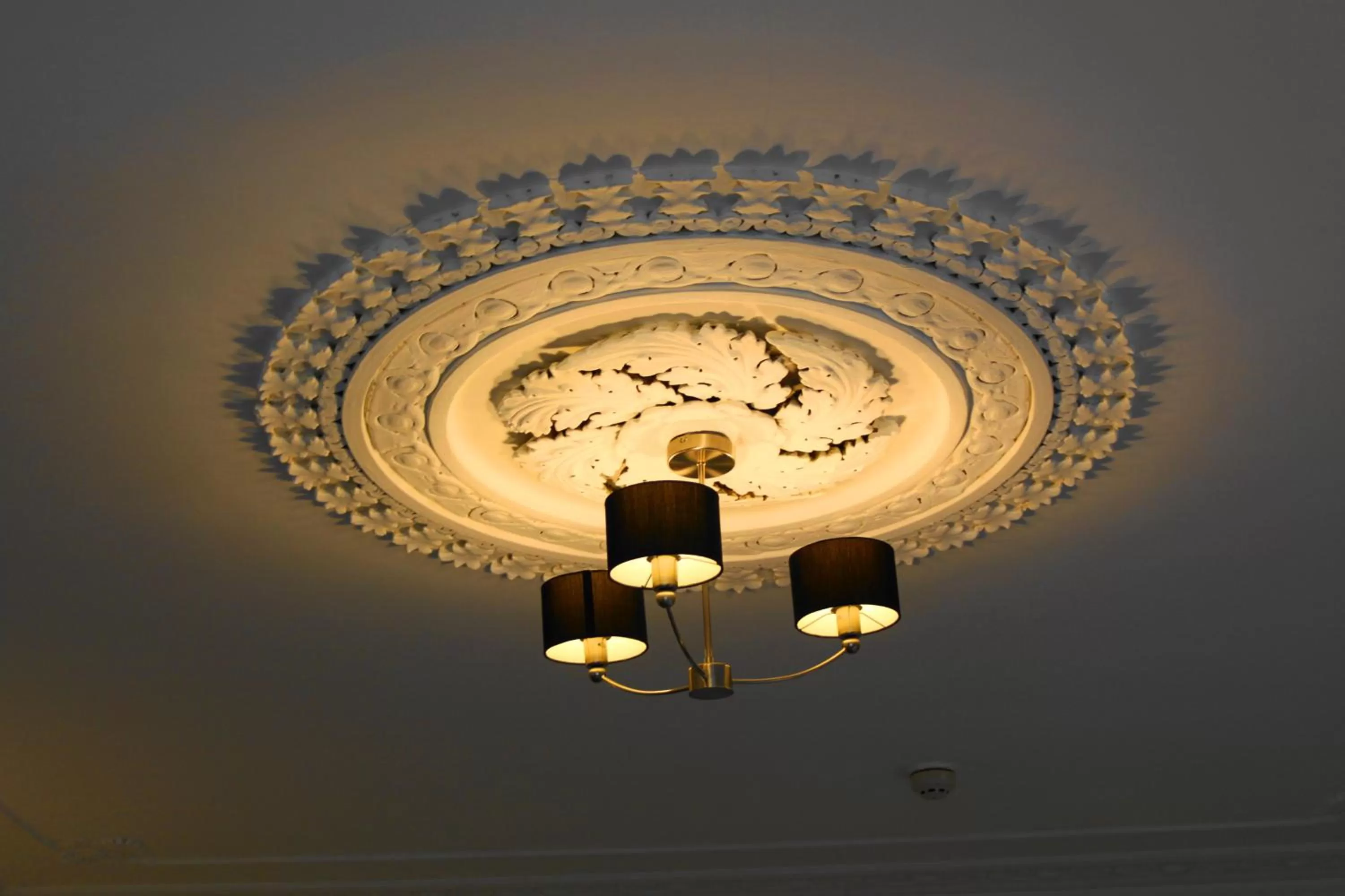 Decorative detail in The Olive Branch