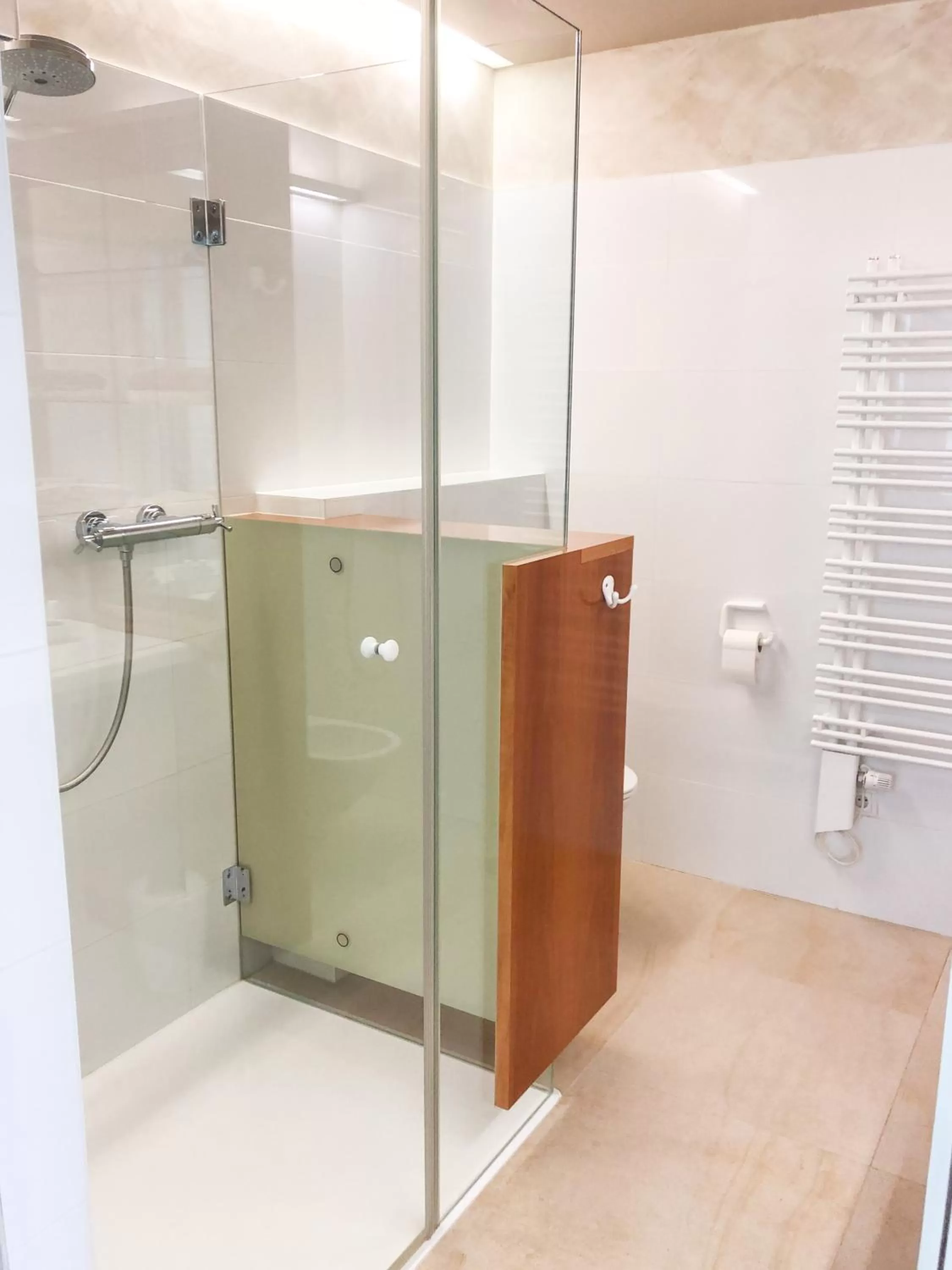 Shower, Bathroom in Die Schmiede