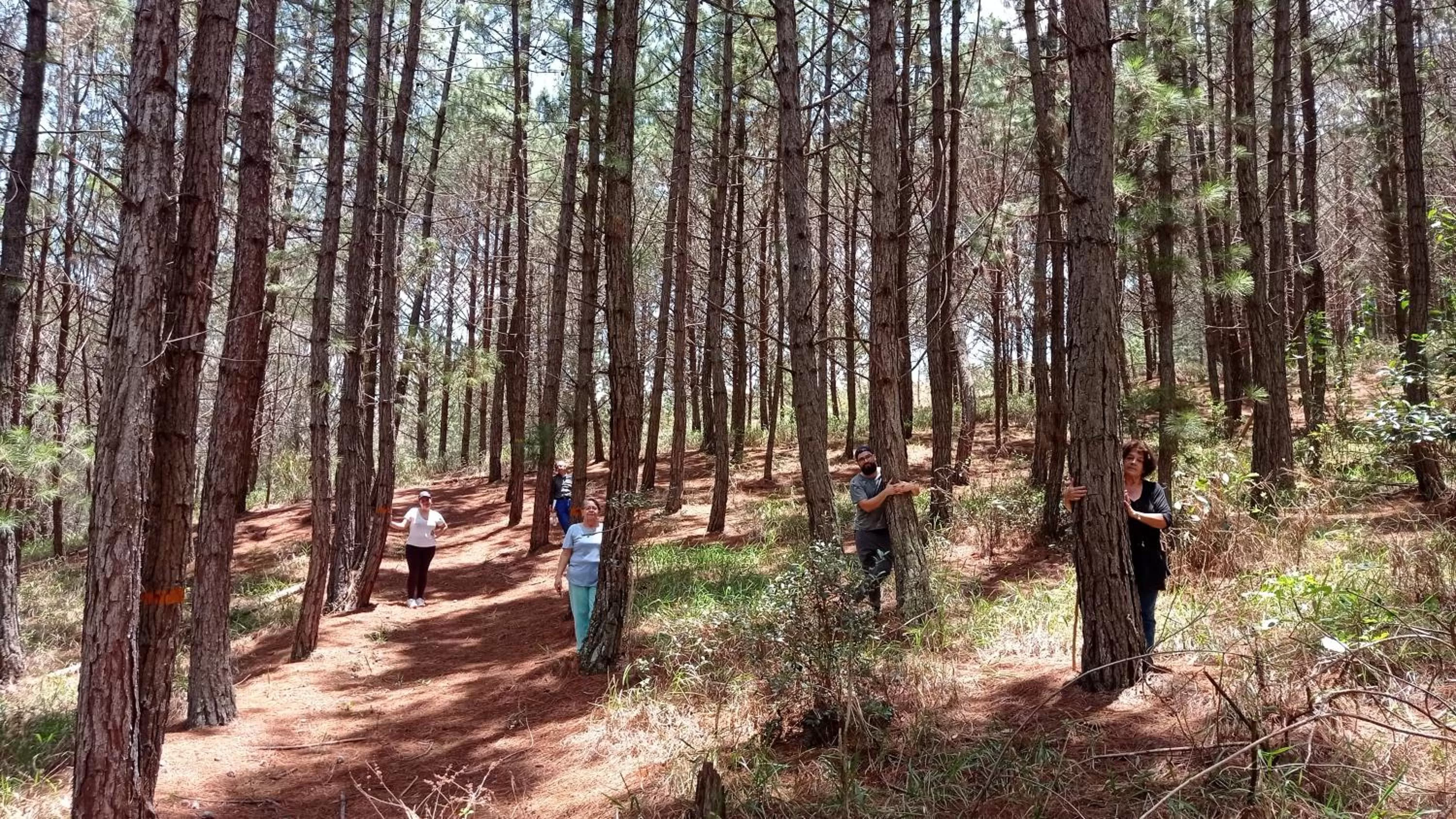Natural landscape in Hotel Buenosaires Barichara