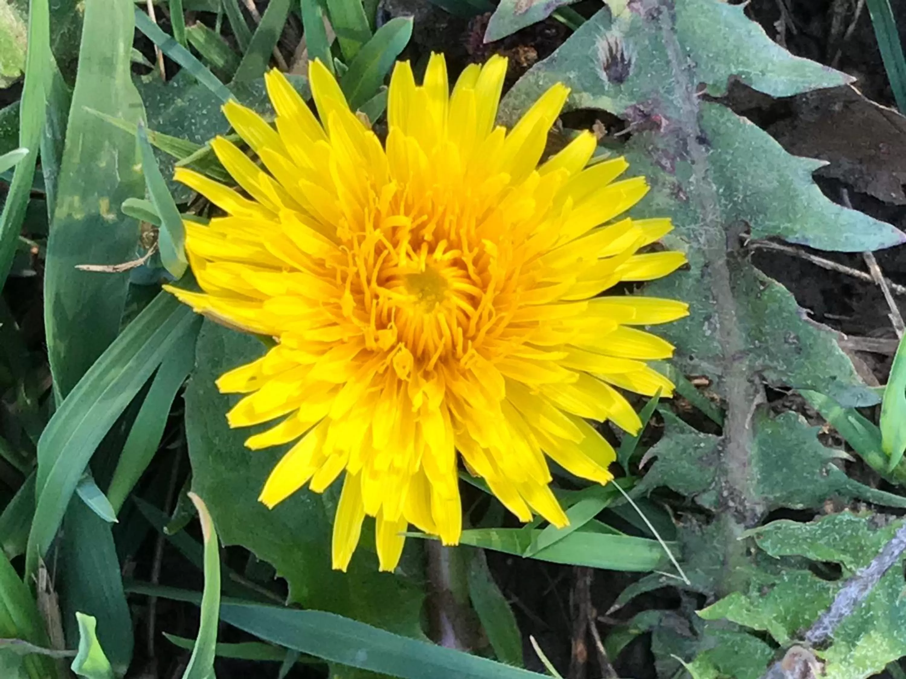 Bed and Breakfast Bavaria München