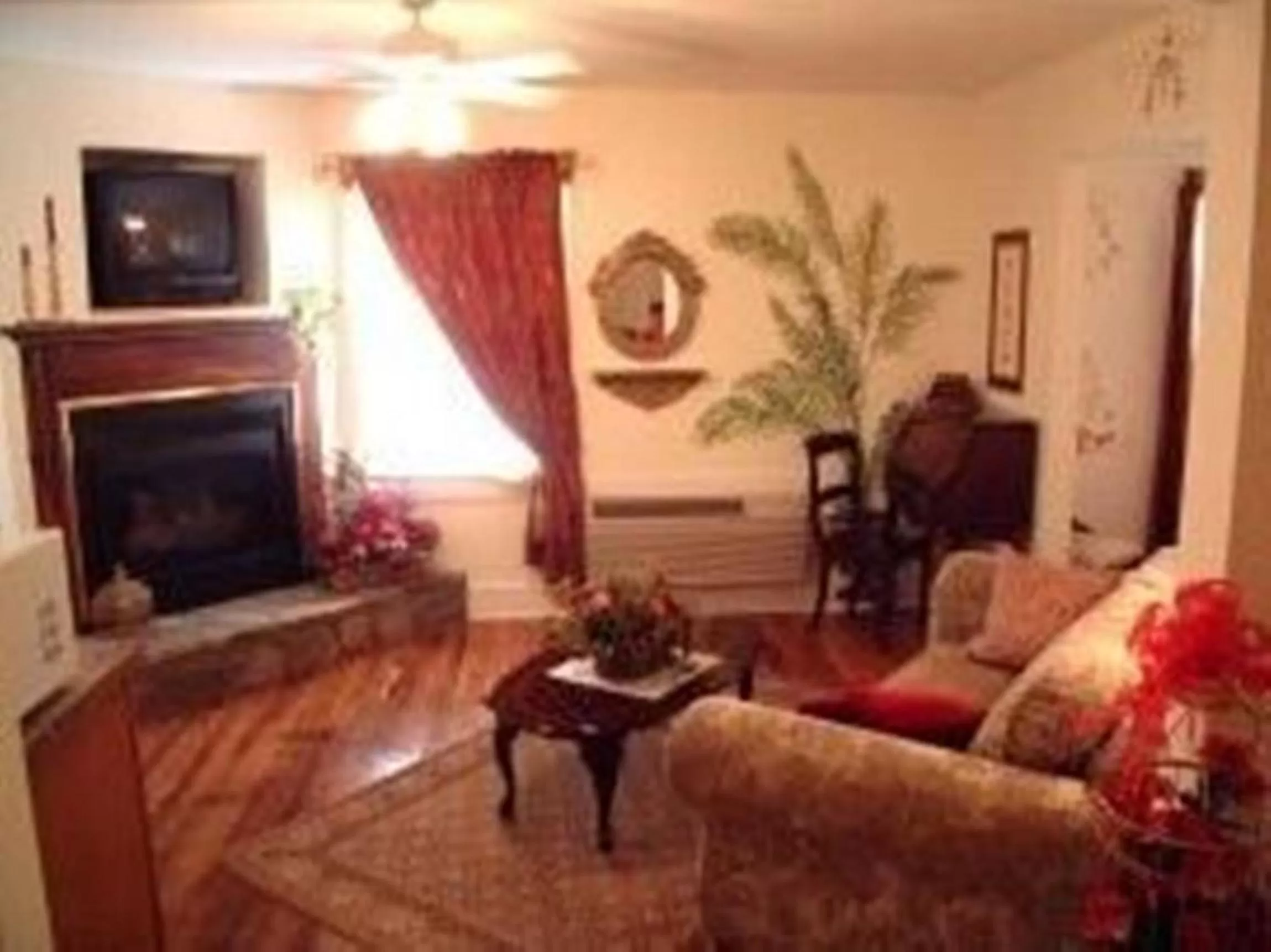 Communal lounge/ TV room in Black Forest Bed & Breakfast