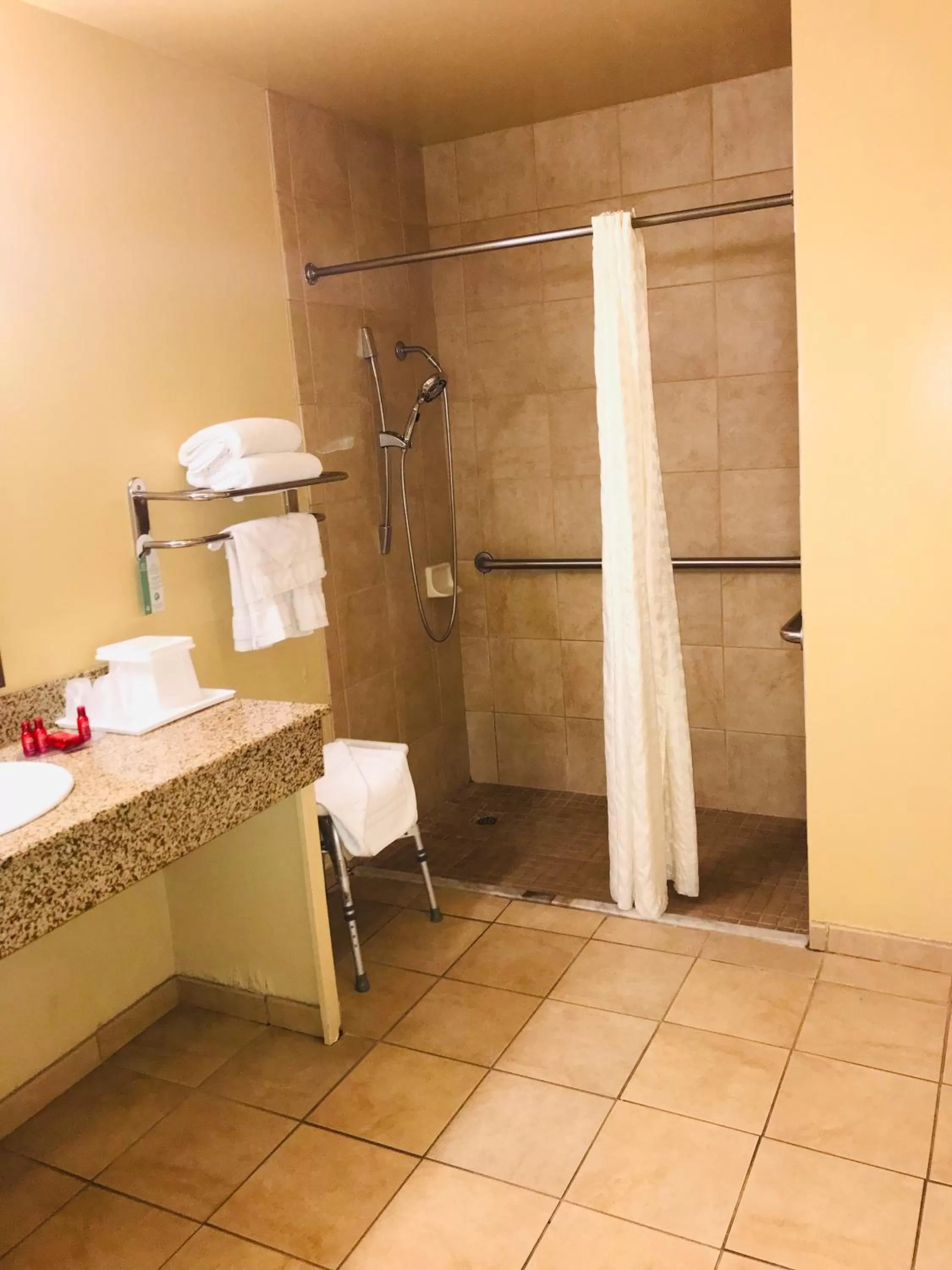 King Room with Roll-In Shower - Disability Access in SureStay Plus Hotel by Best Western San Bernardino South