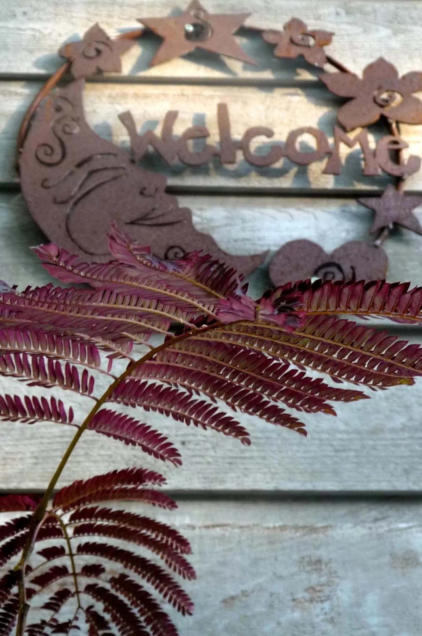 Logo/Certificate/Sign in Magnolia Petal