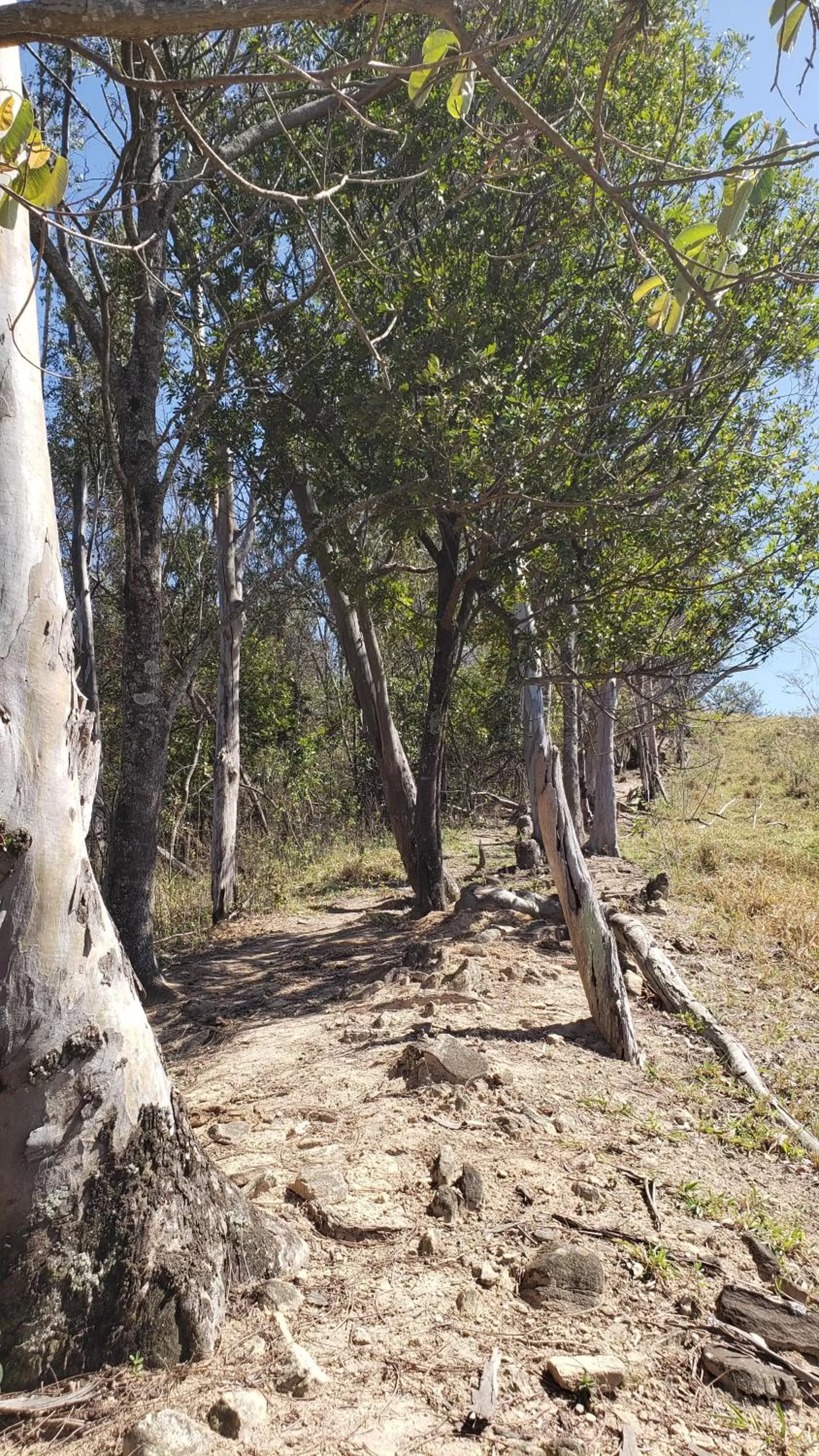 Hiking in Pousada Solar da Montanha