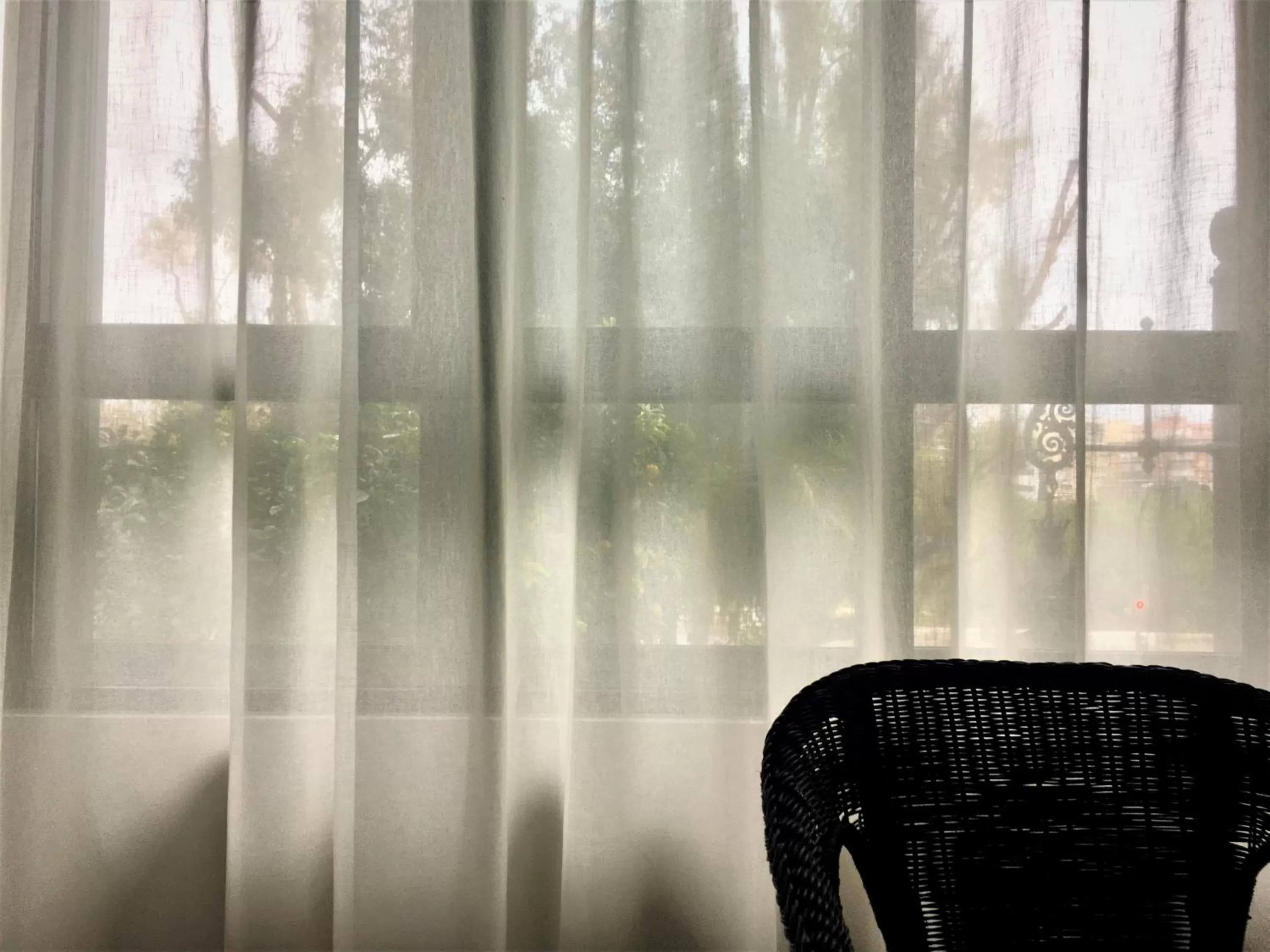 View (from property/room) in MD Modern Hotel - Jardines