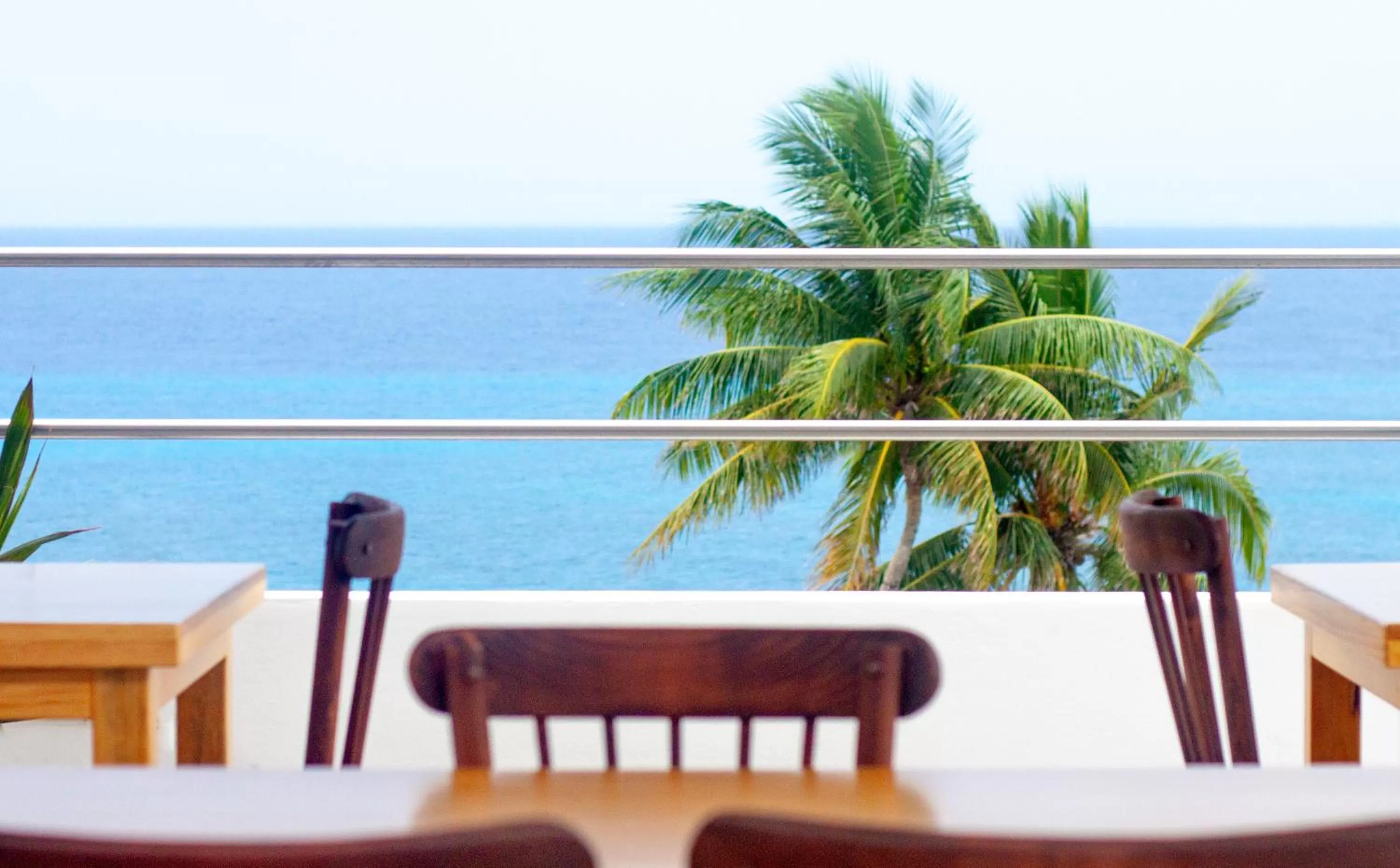 Restaurant/places to eat in Albatros by Bedsfriends