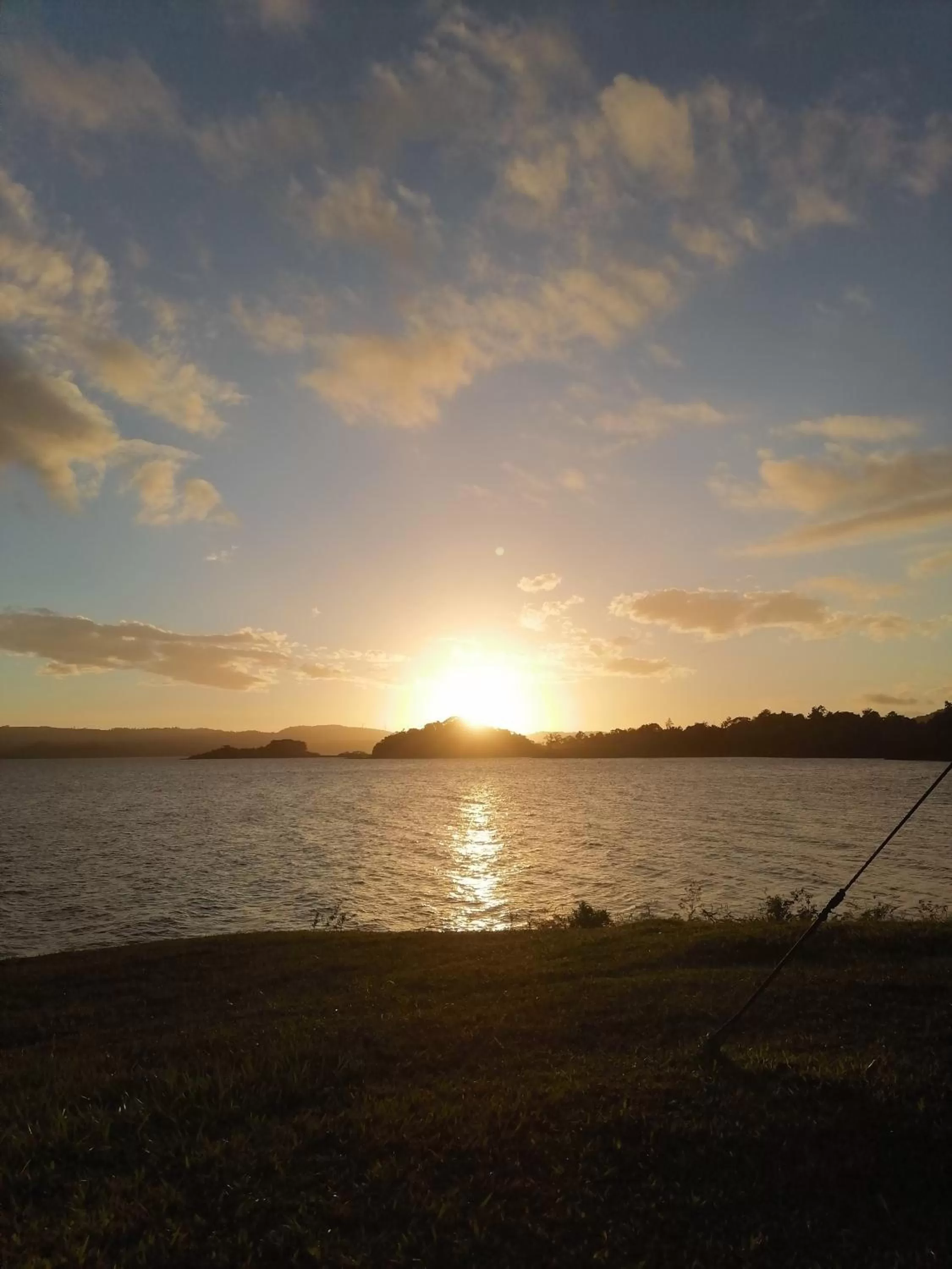Natural landscape in La Ceiba Tree Lodge
