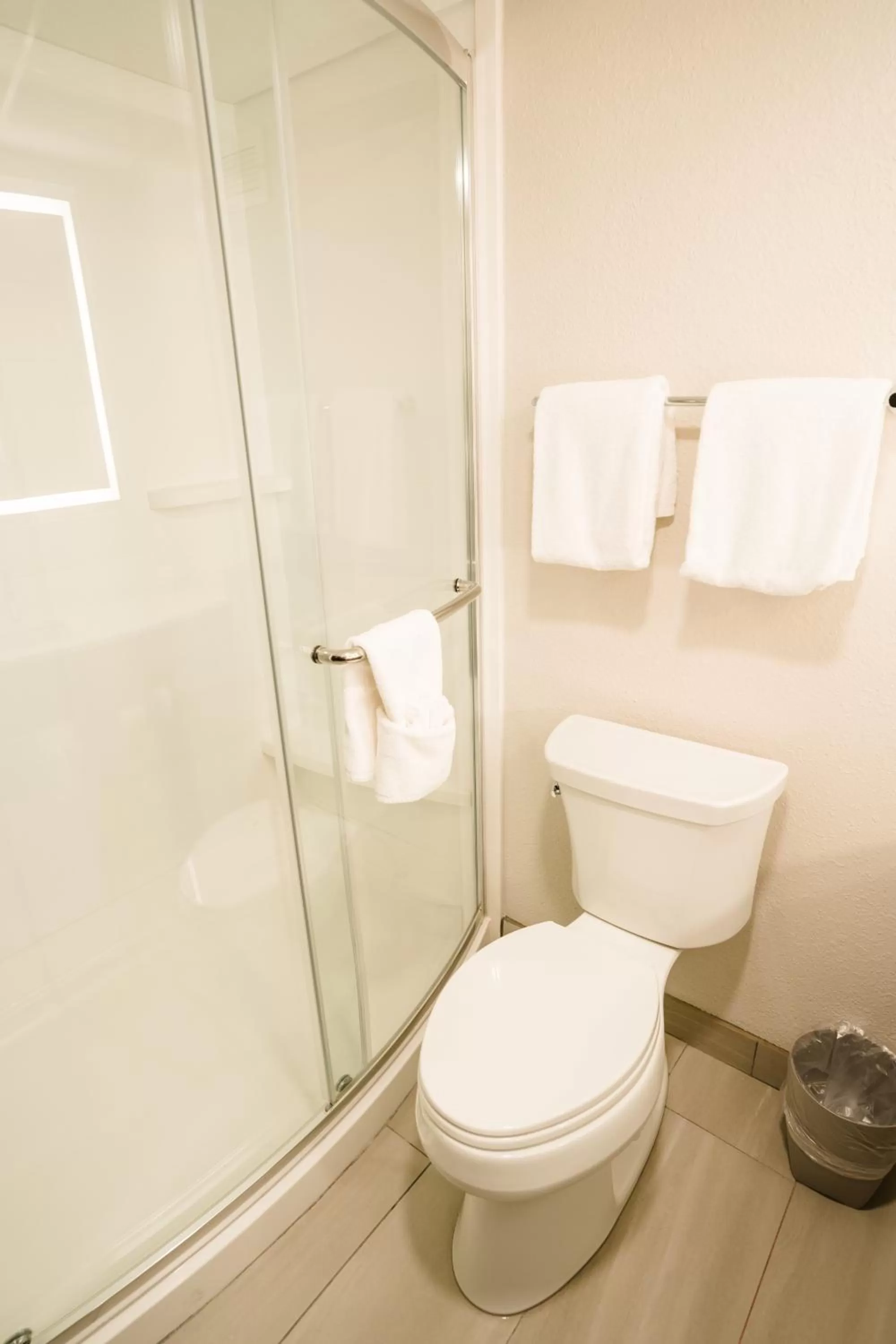 Shower in Holiday Inn Express Hotel & Suites Knoxville-North-I-75 Exit 112 by IHG