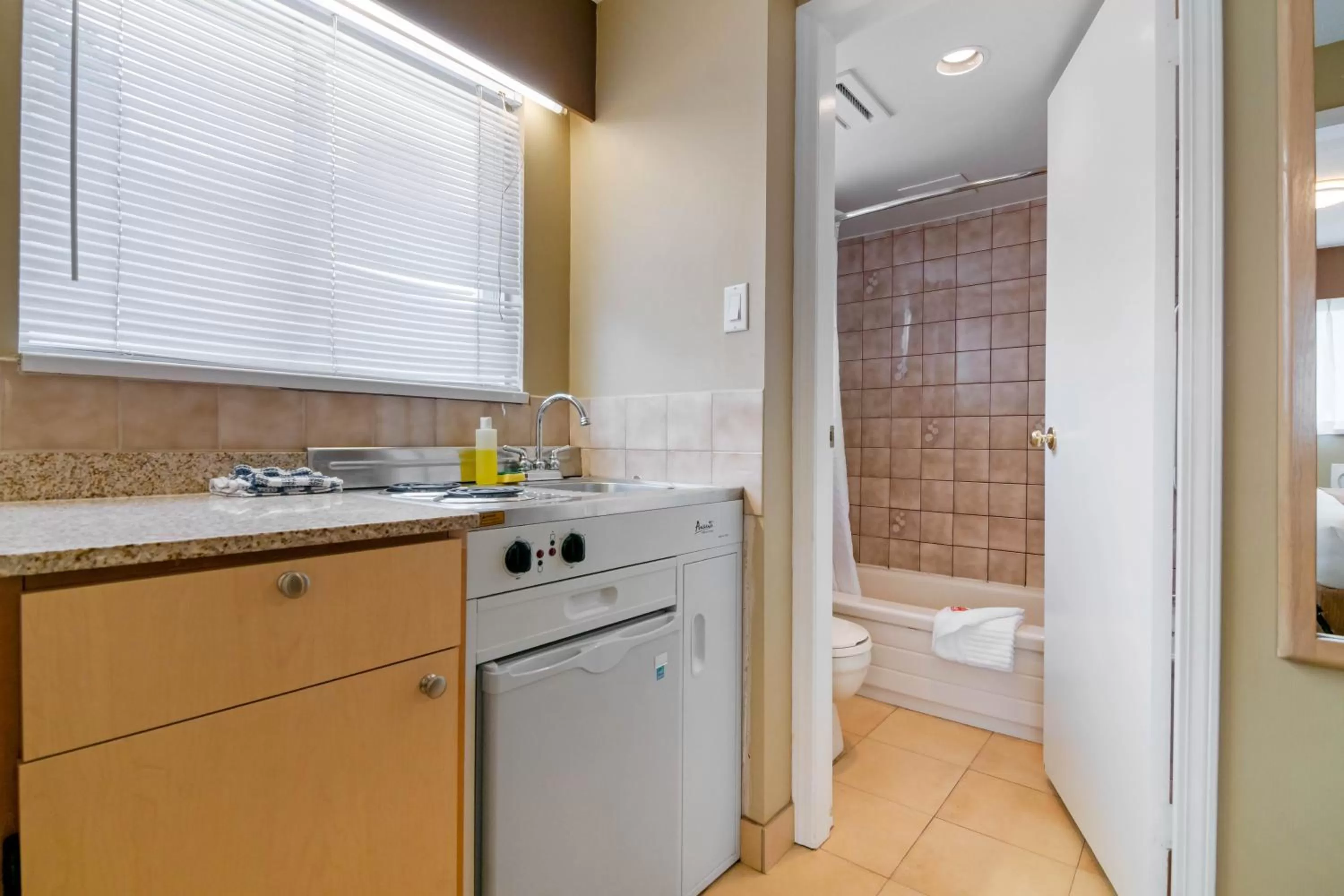 Kitchen or kitchenette in Econo Lodge Inn & Suites