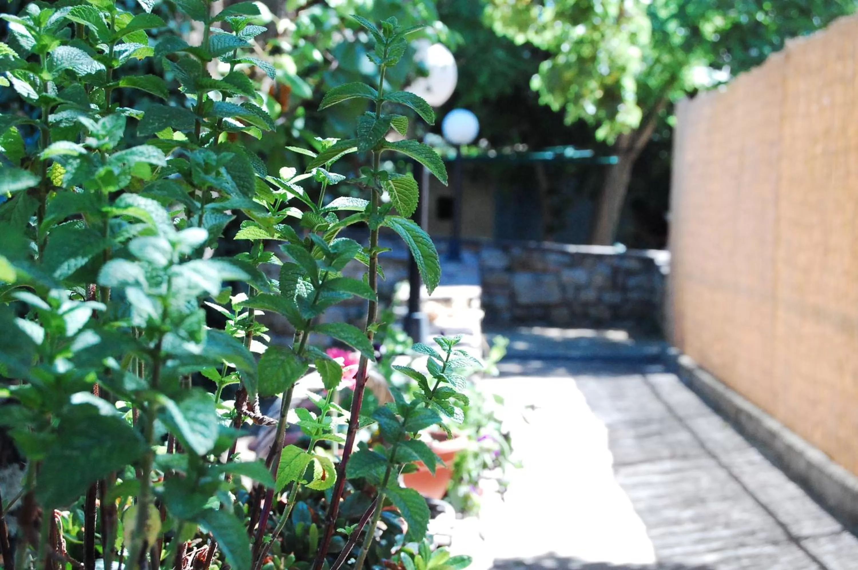 Garden in Hotel La Locanda
