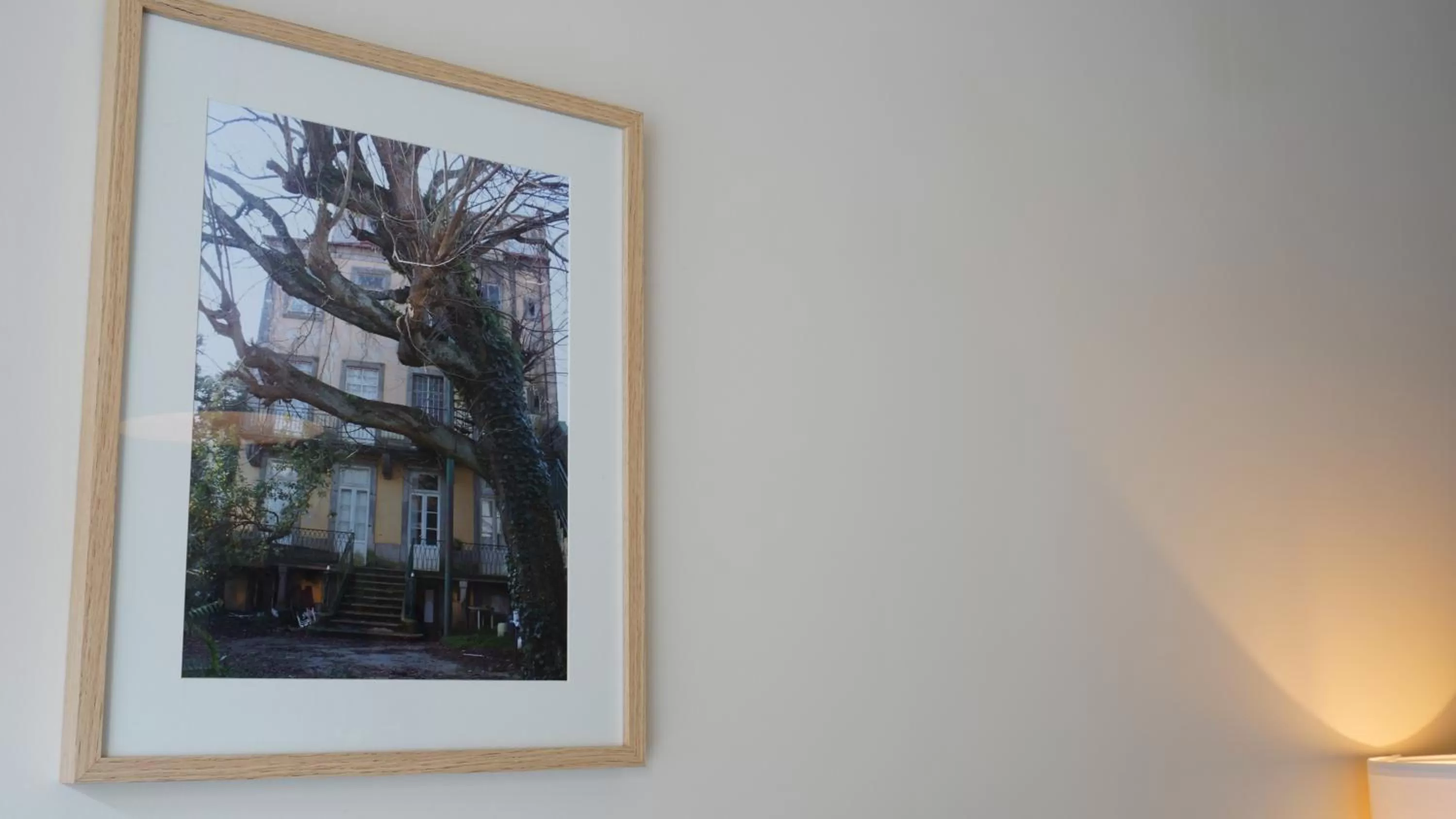 Nearby landmark in Oporto Maison Palace