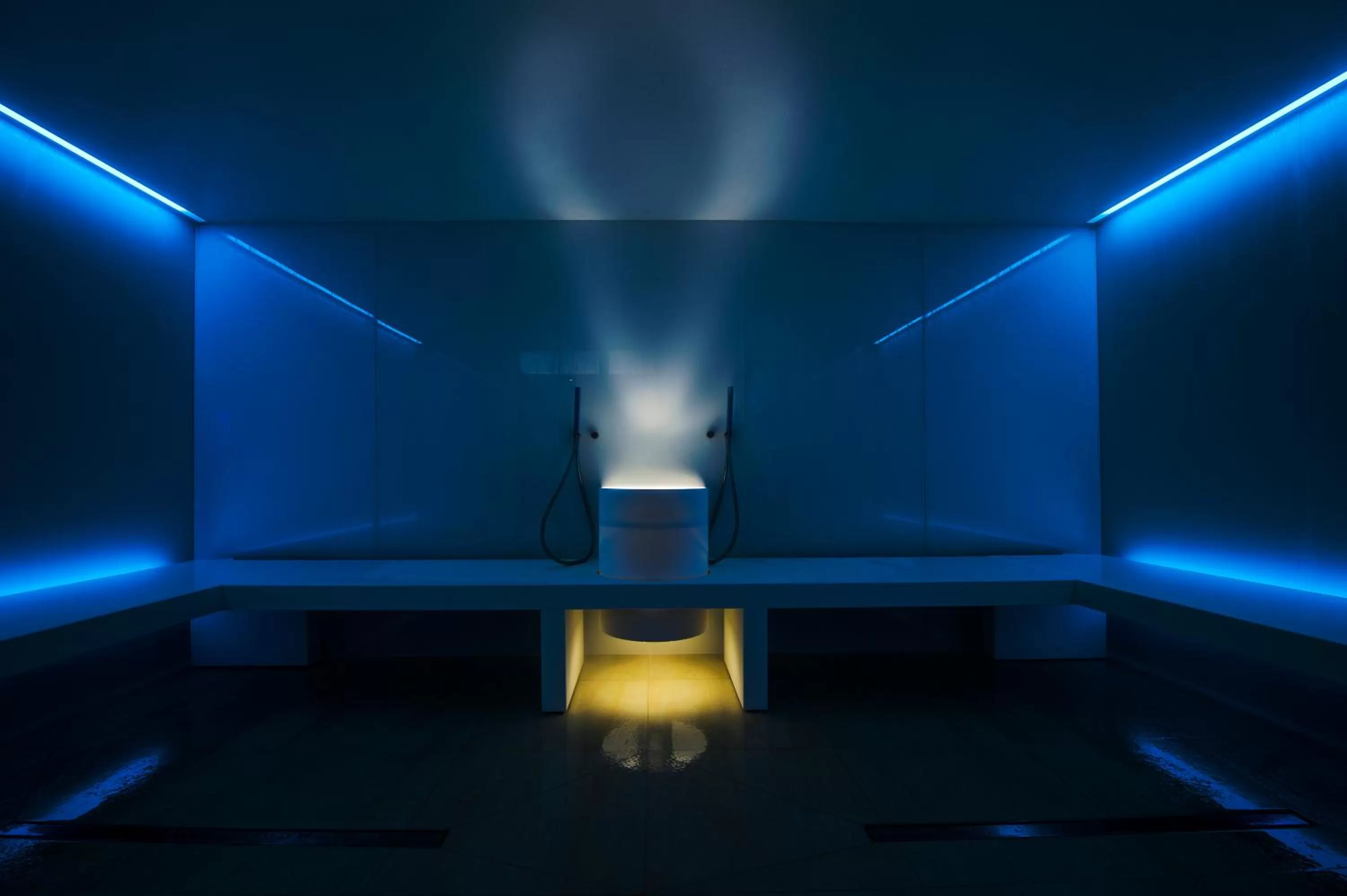 Spa and wellness centre/facilities in Parkhotel Hall in Tirol