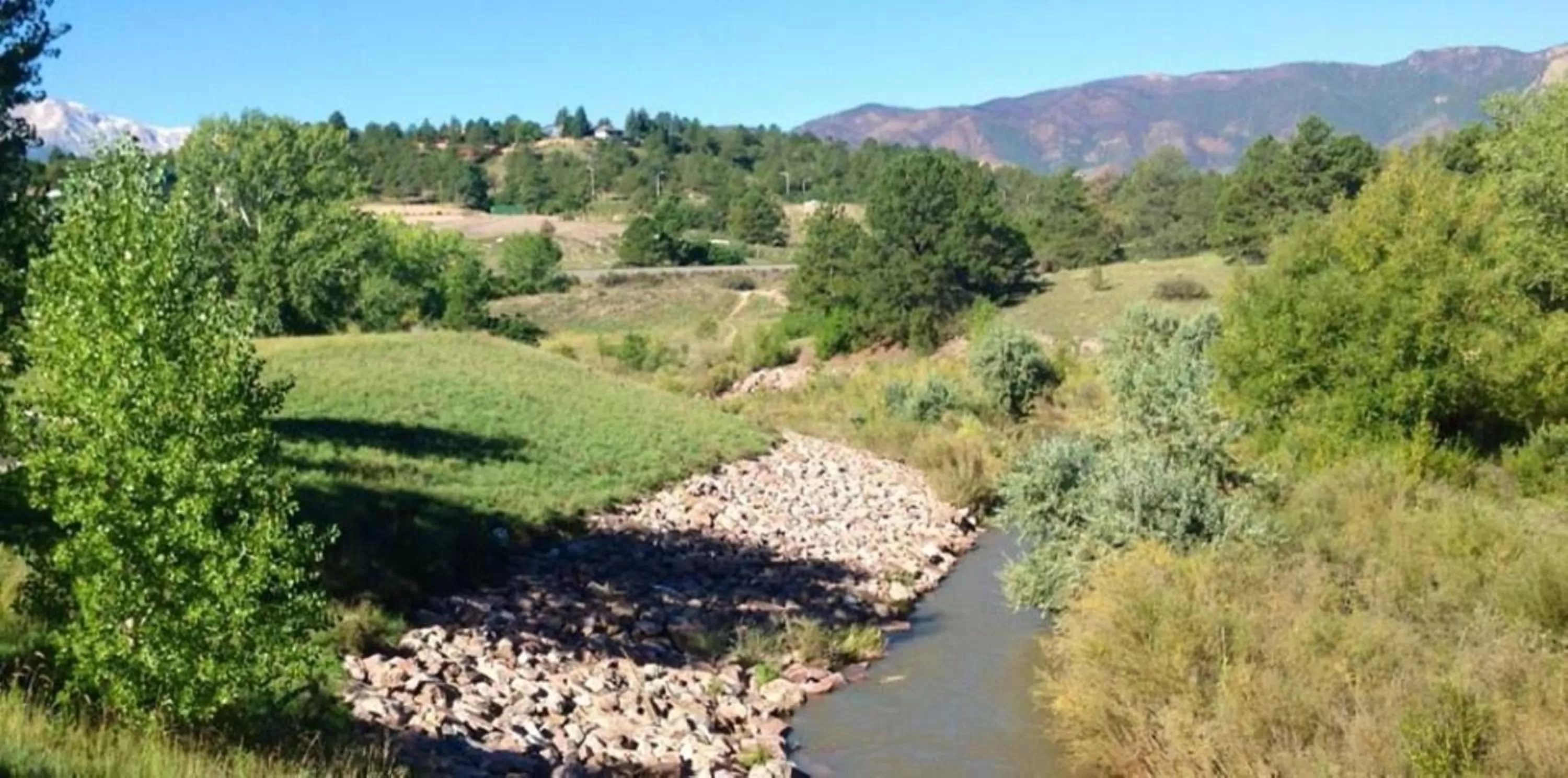 Photo of the whole room in Staybridge Suites Colorado Springs North by IHG