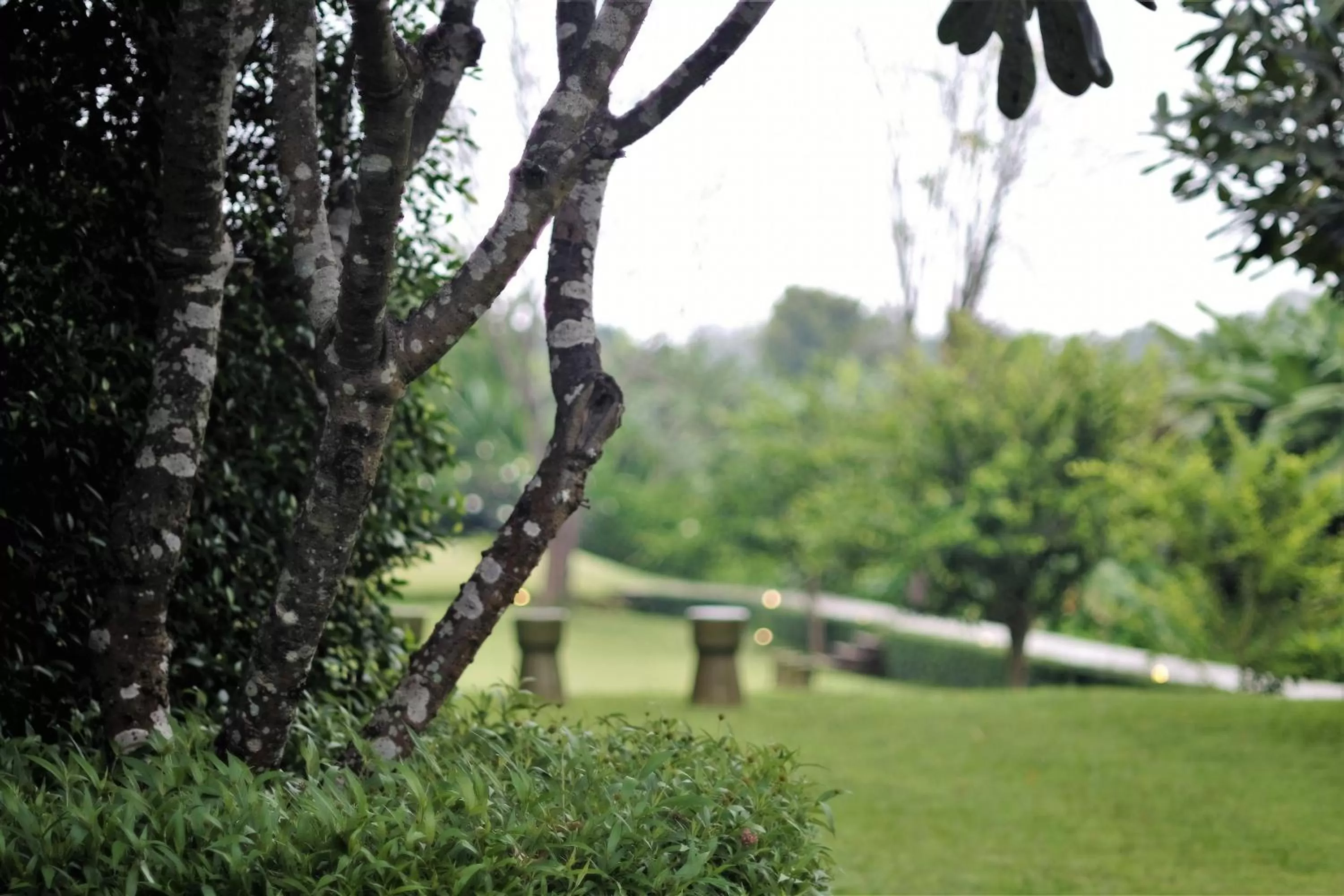 On site in Yoma Hotel, Pai